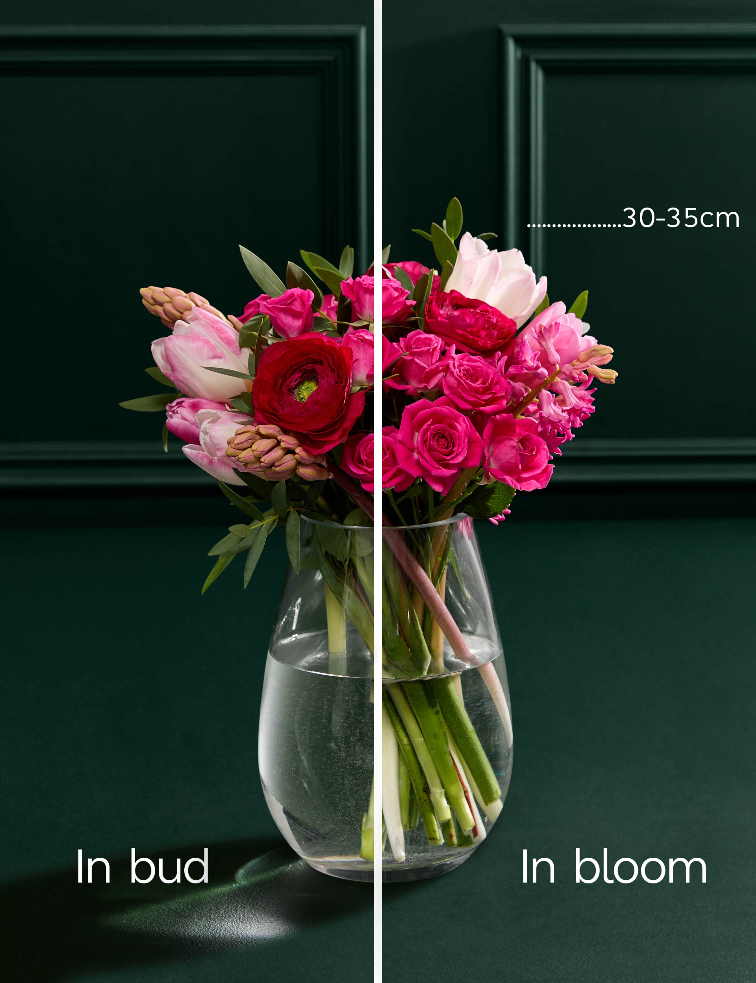 Mother's Day Ranunclus Bouquet with La Balconne Rosé Wine 6 of 6