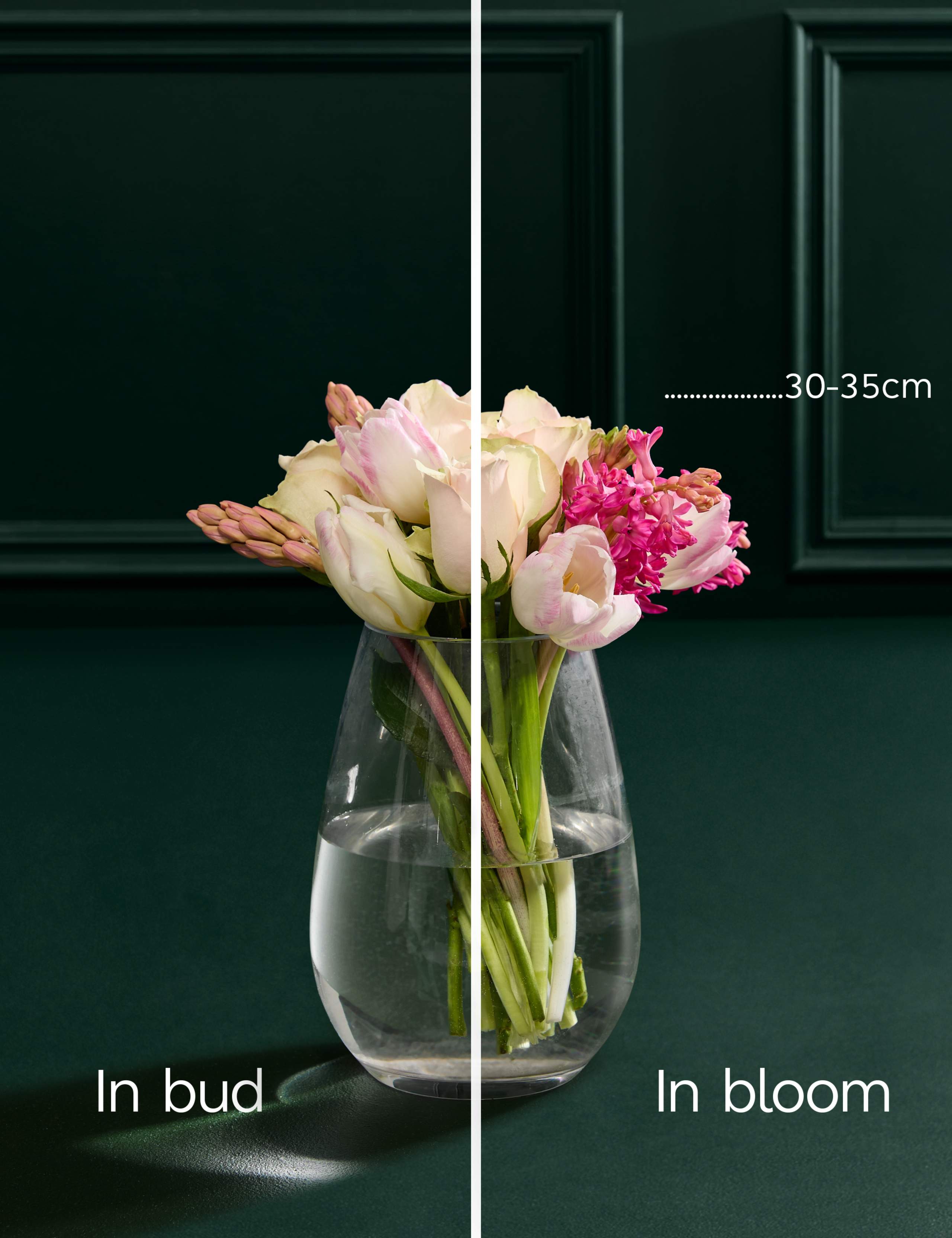 Mother's Day Roses & Tulips Posy & Afternoon Tea 5 of 5