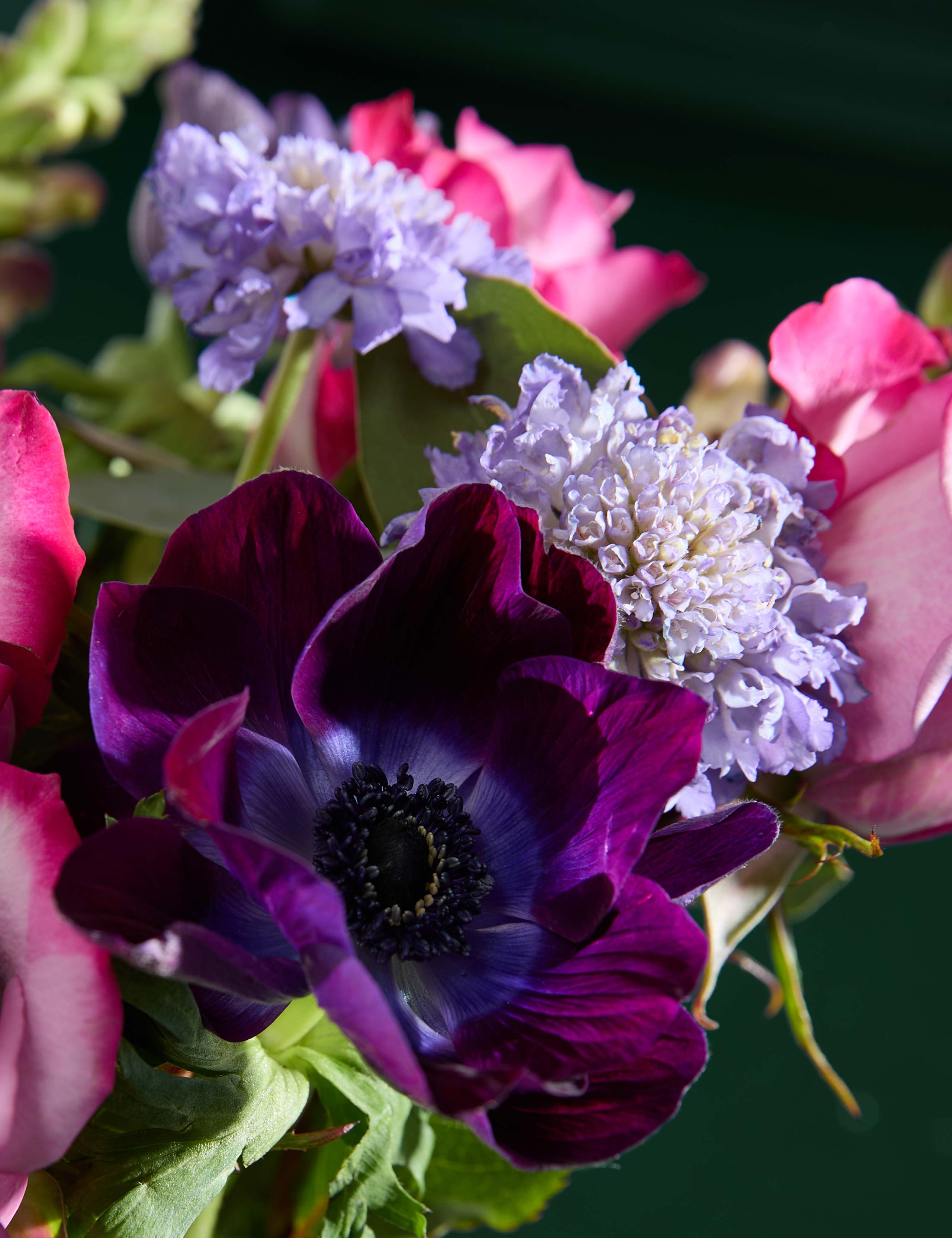 Mother's Day Roses & Antirrhinum with Vase 3 of 6