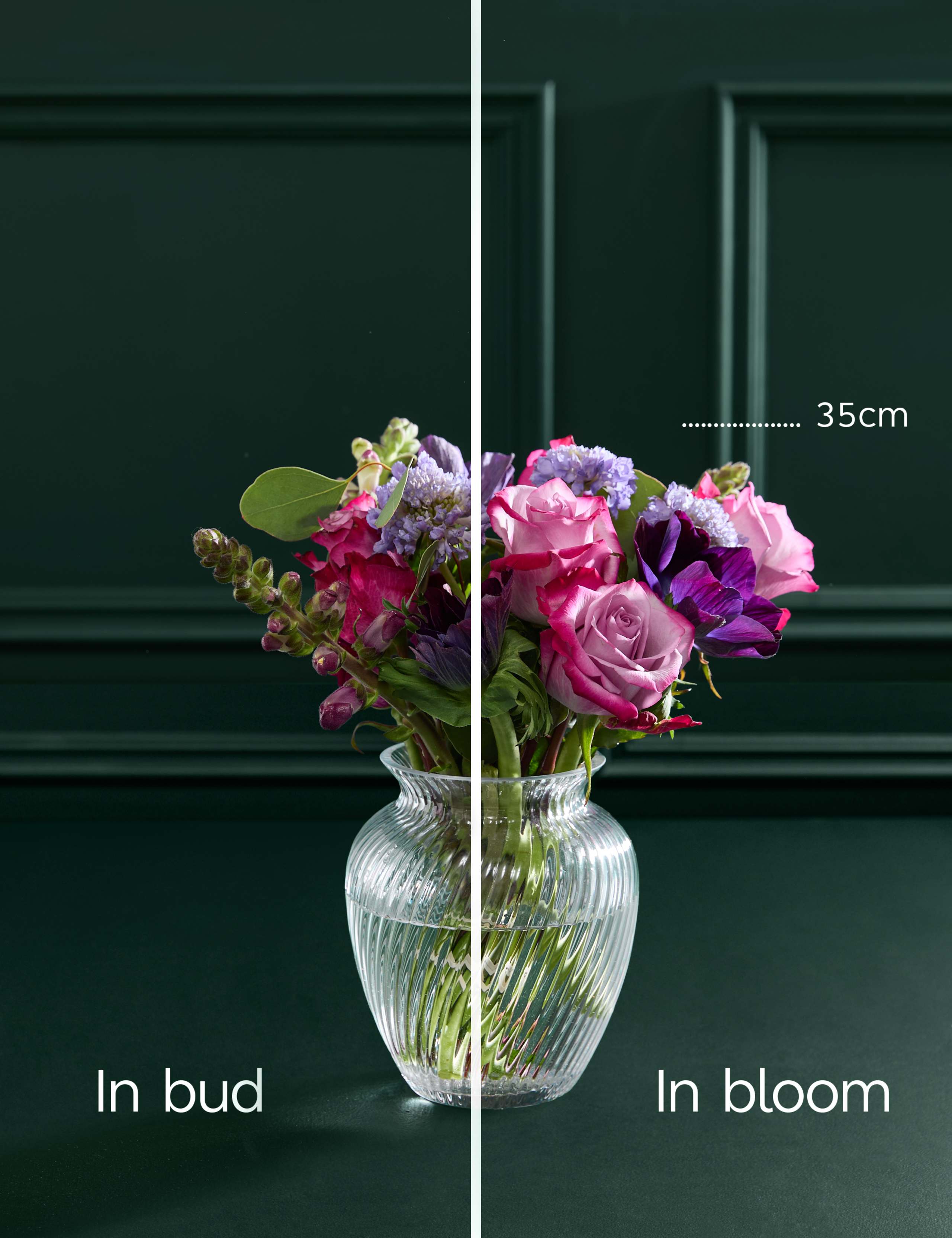 Mother's Day Roses & Antirrhinum with Vase 5 of 6