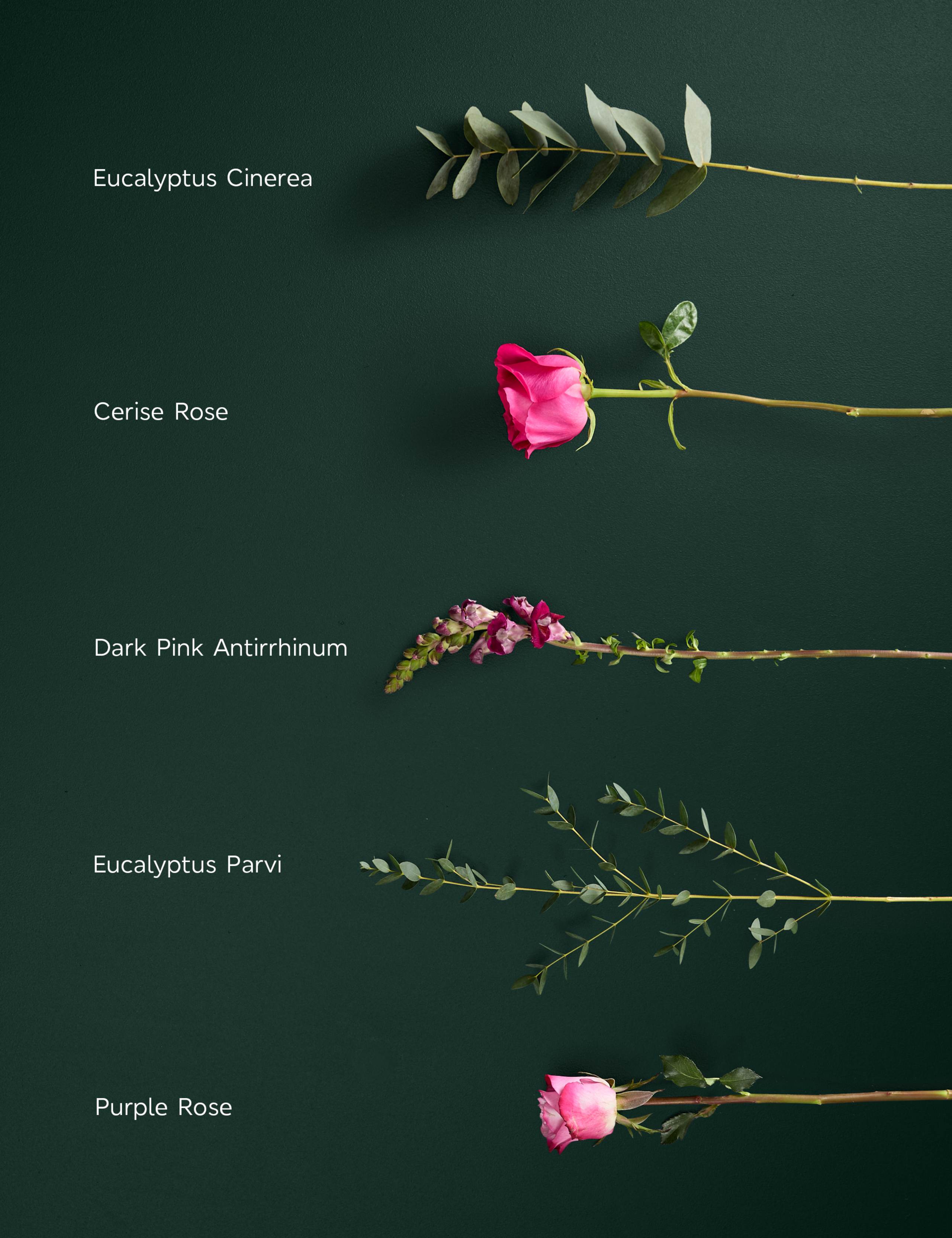 Mother's Day Bright Rose & Antirrhinum Bouquet 4 of 5