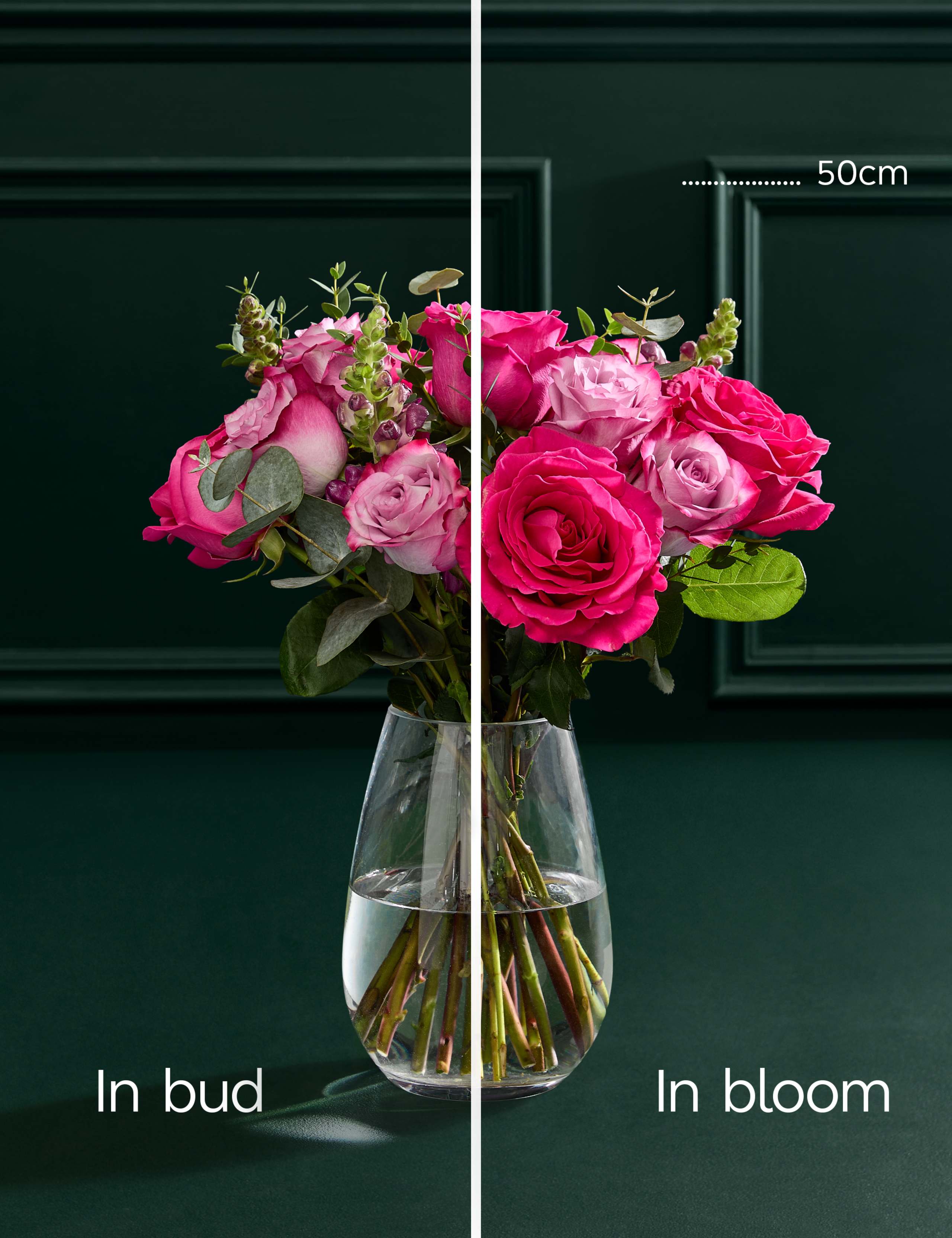 Mother's Day Bright Rose & Antirrhinum Bouquet 5 of 5