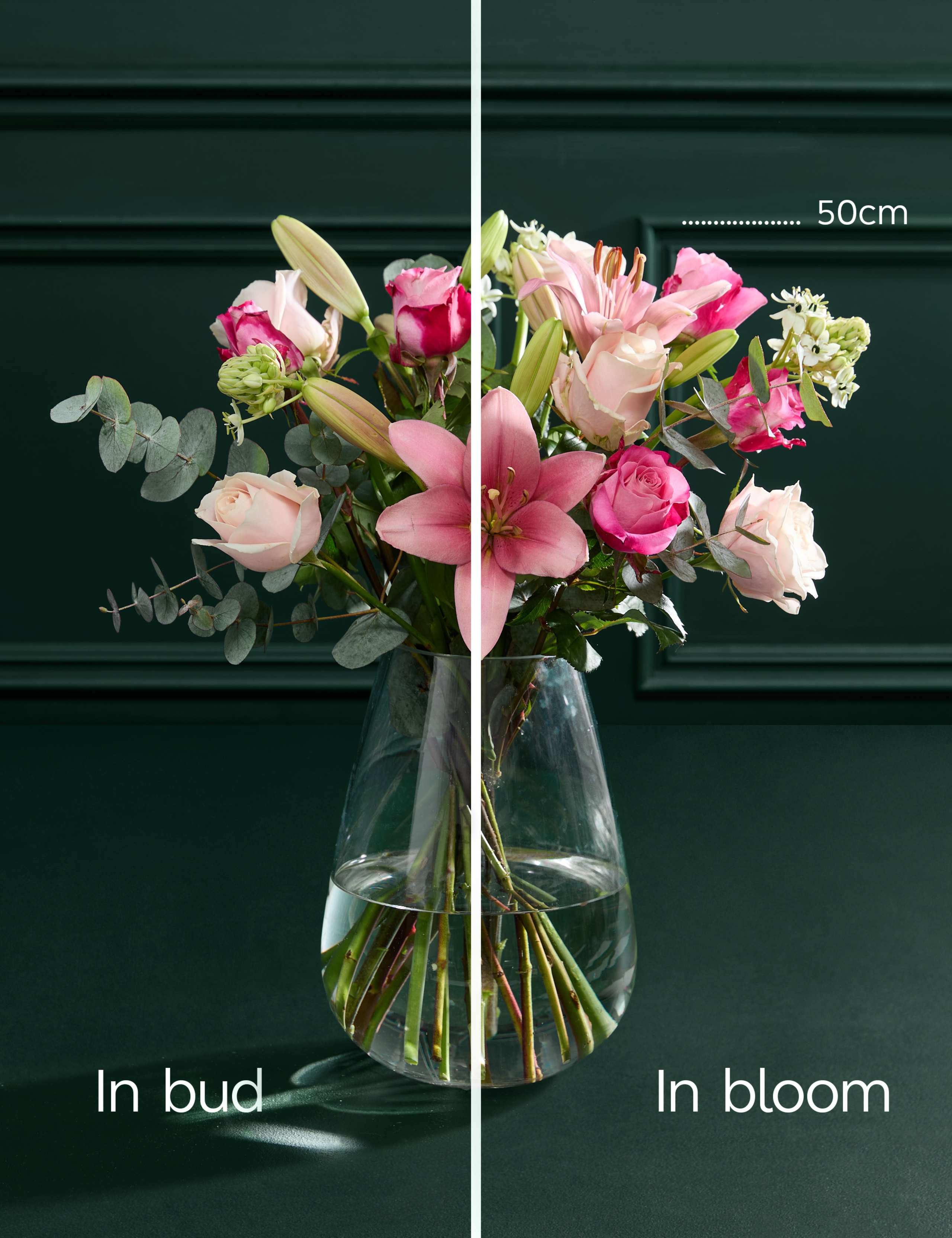 Mother's Day Pink Rose Bouquet 5 of 5