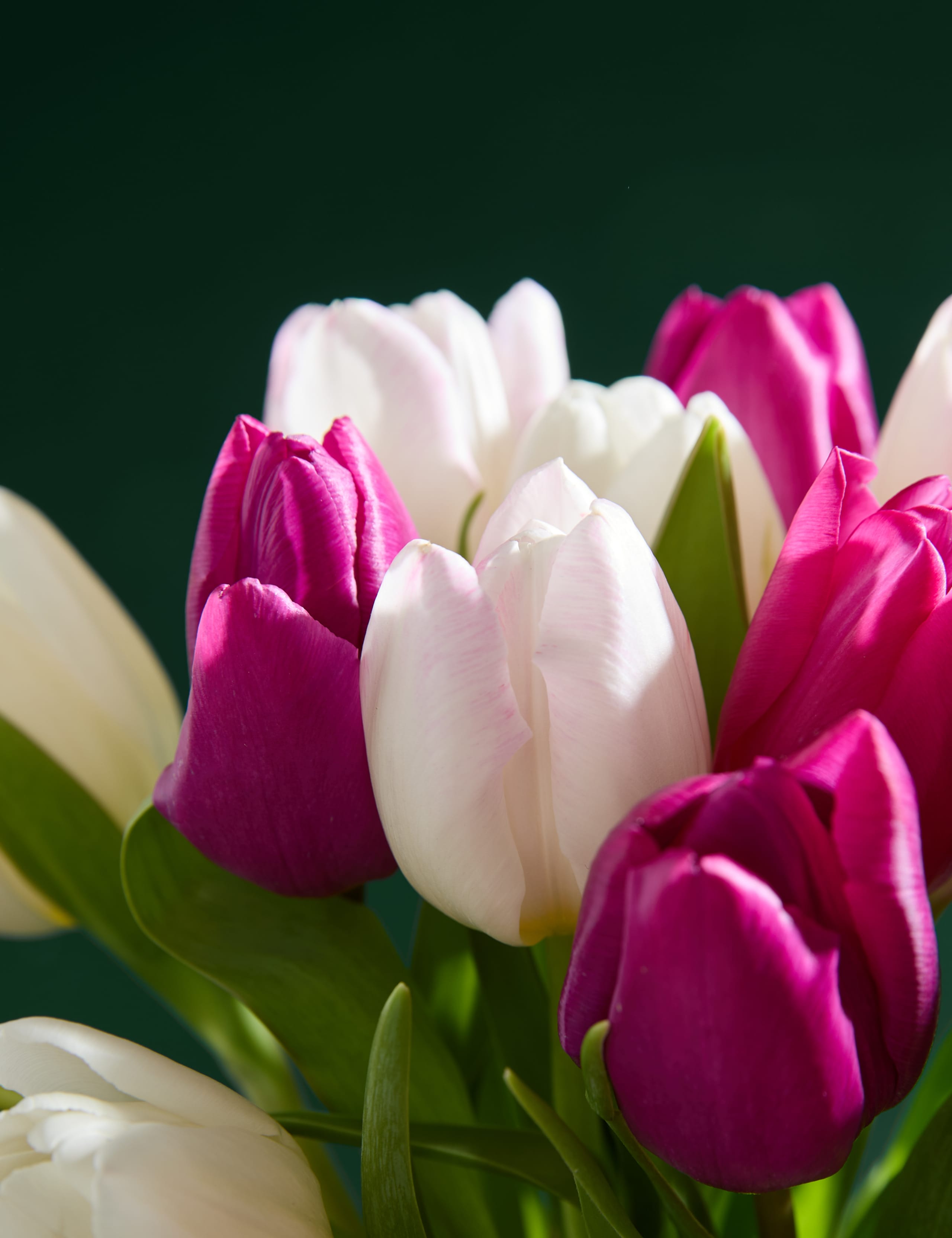 Mother's Day Pink Tulip Bouquet 3 of 4