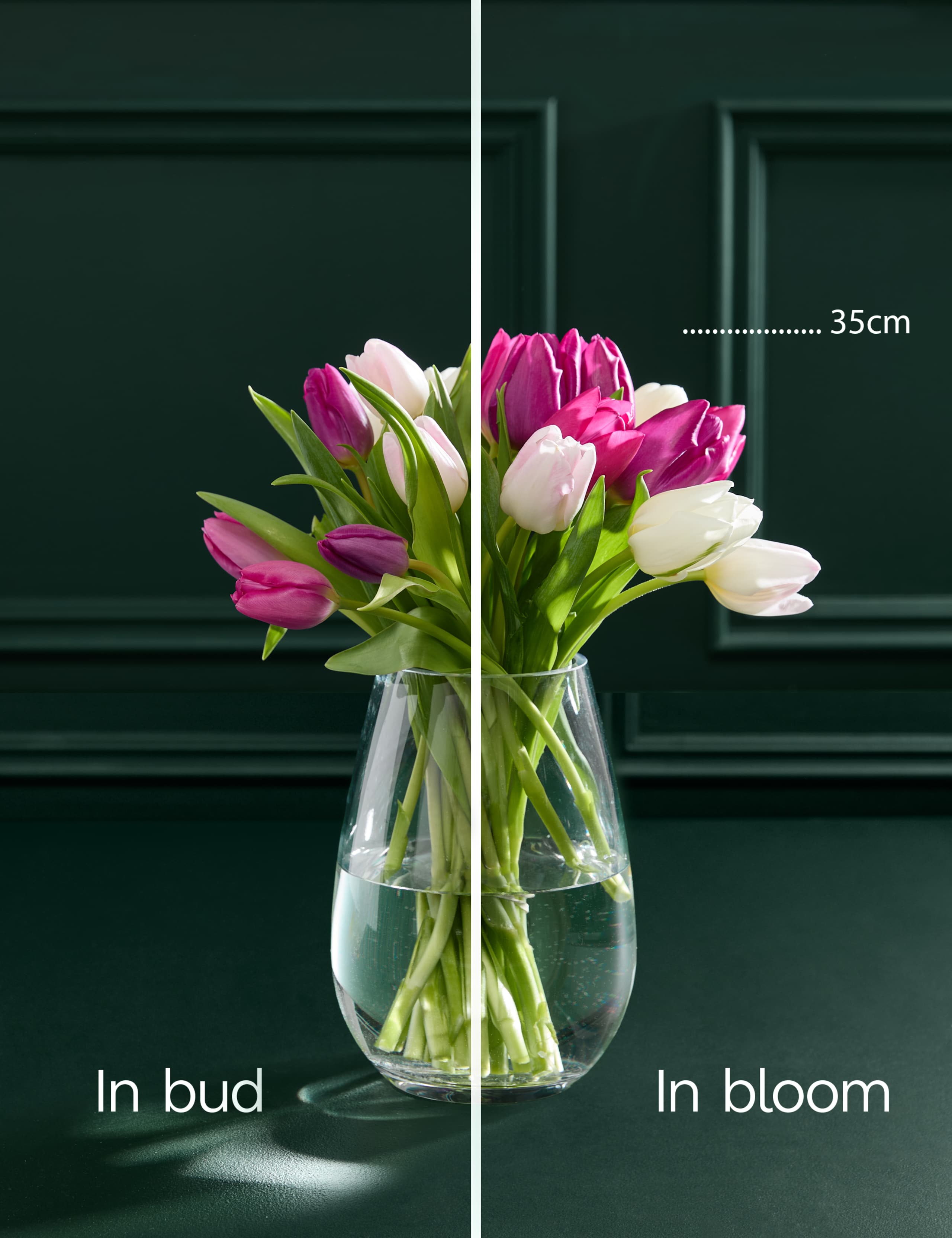 Mother's Day Pink Tulip Bouquet 4 of 4