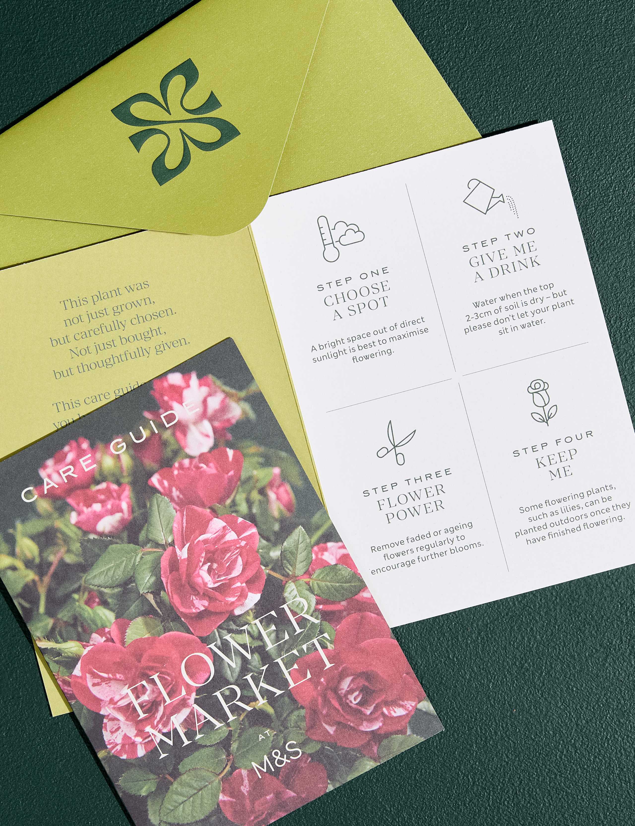 Pink Hydrangea in Ceramic Pot 5 of 5