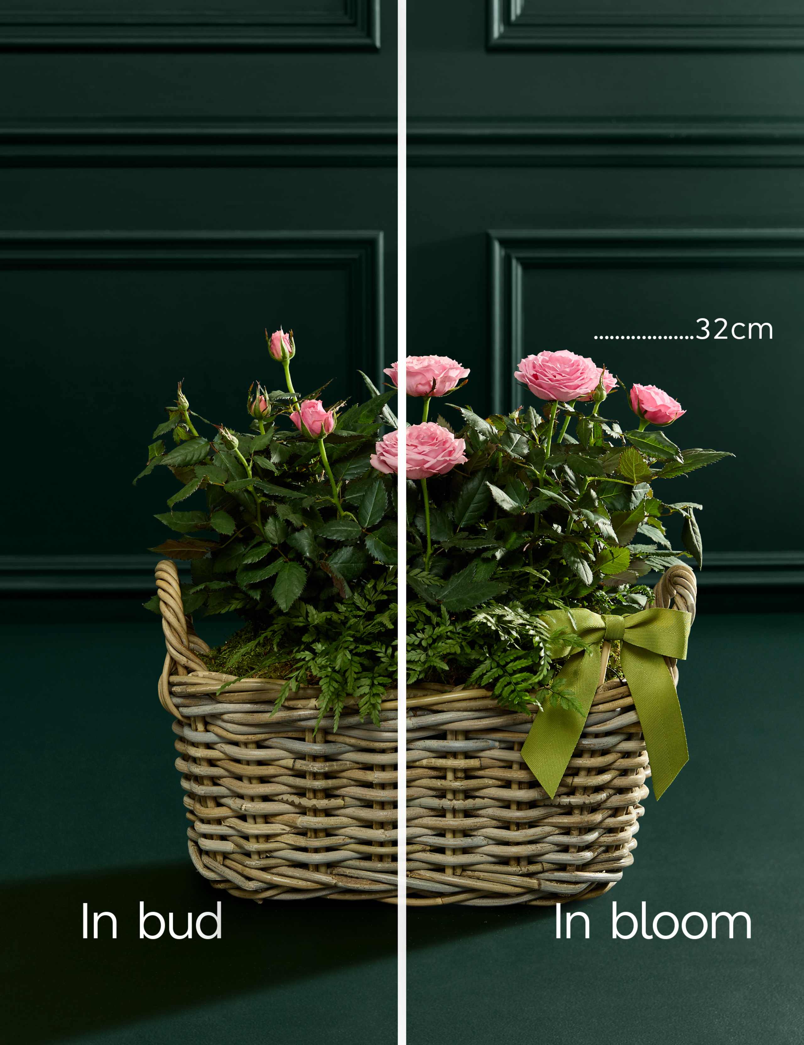 Mothers Day Mixed Basket with Belgian Chocolates 4 of 4