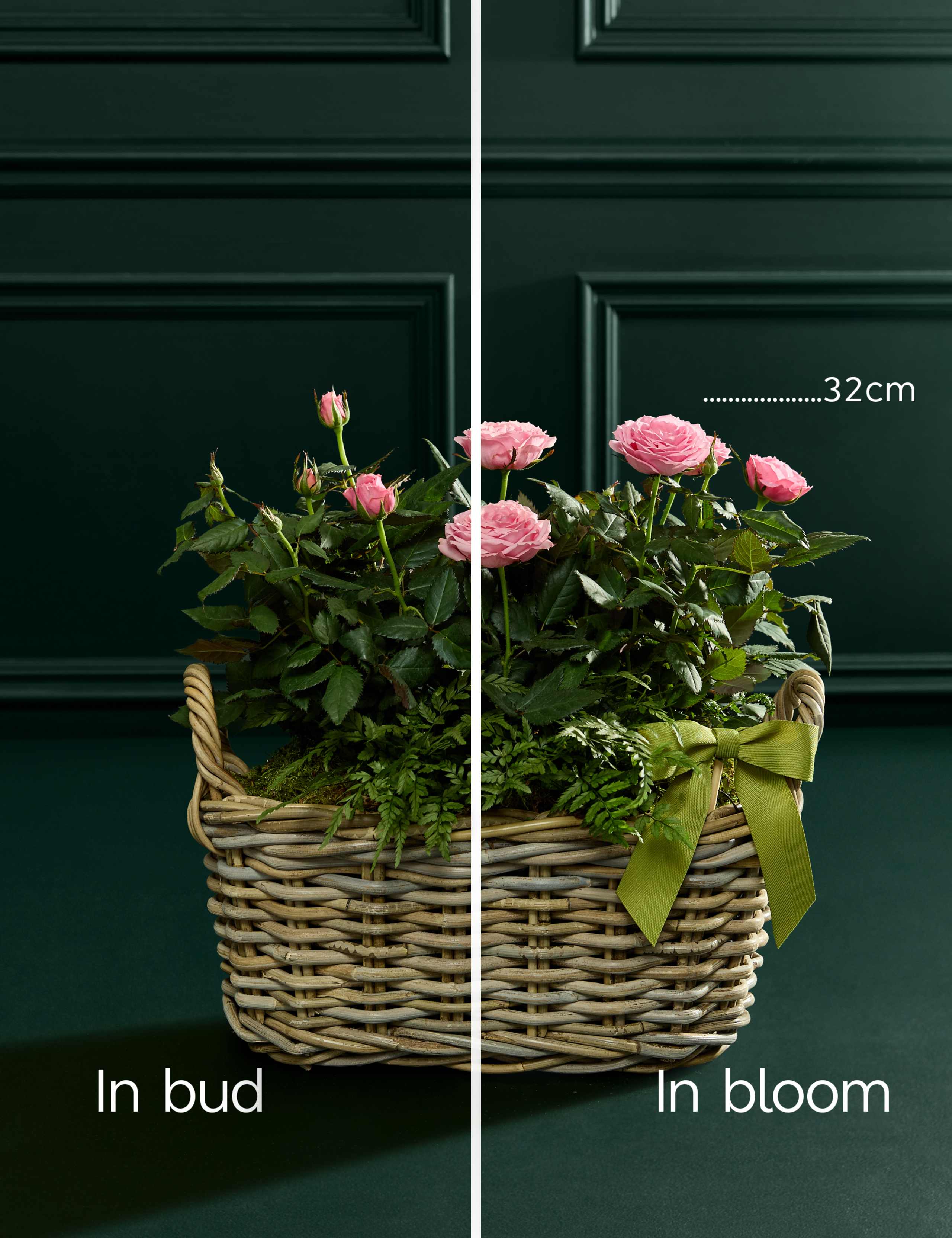 Pink Rose Flowering Basket 4 of 6