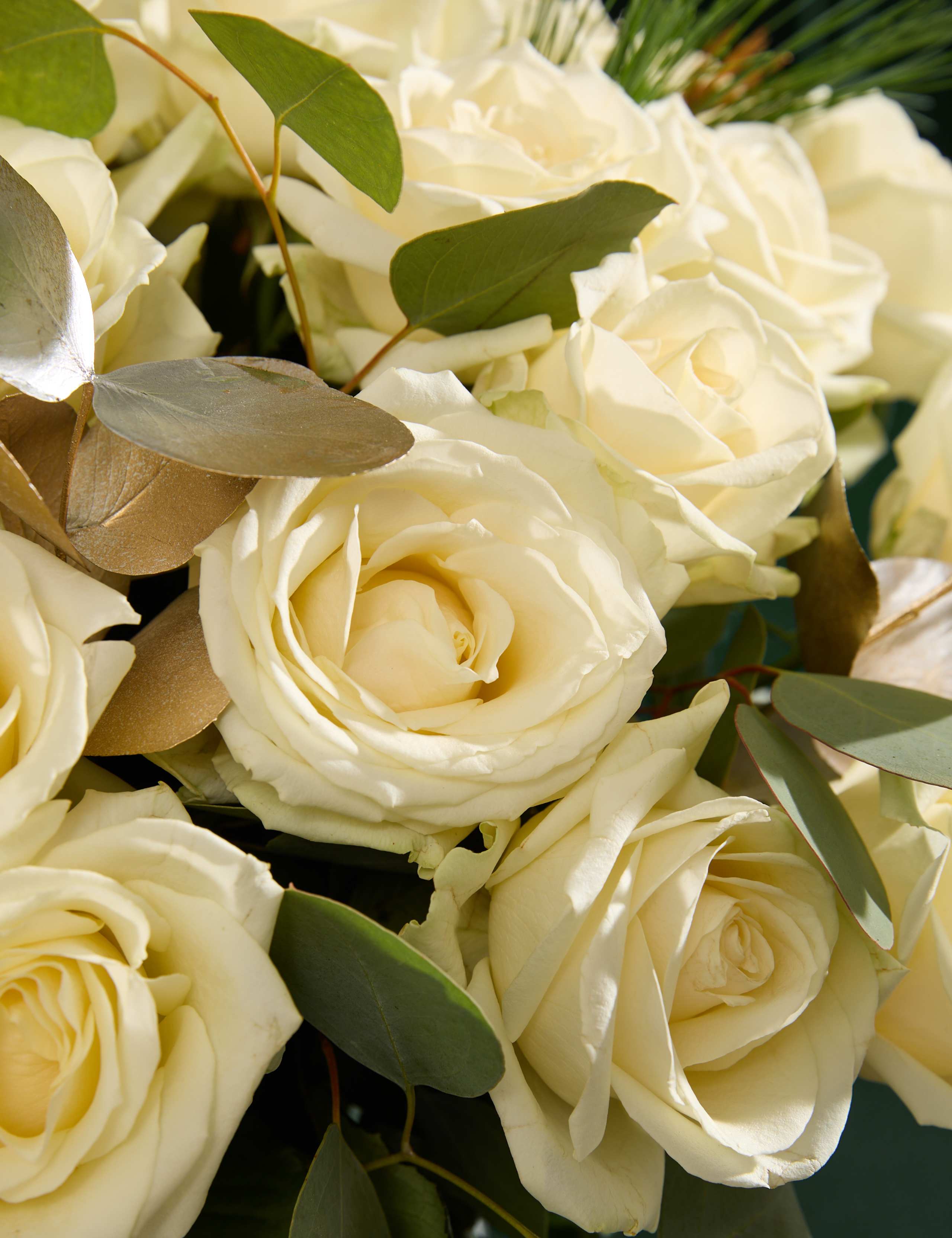 Luxury White Rose & Eucalyptus Bouquet with Vase & Gourmet Grazing Hamper 3 of 6