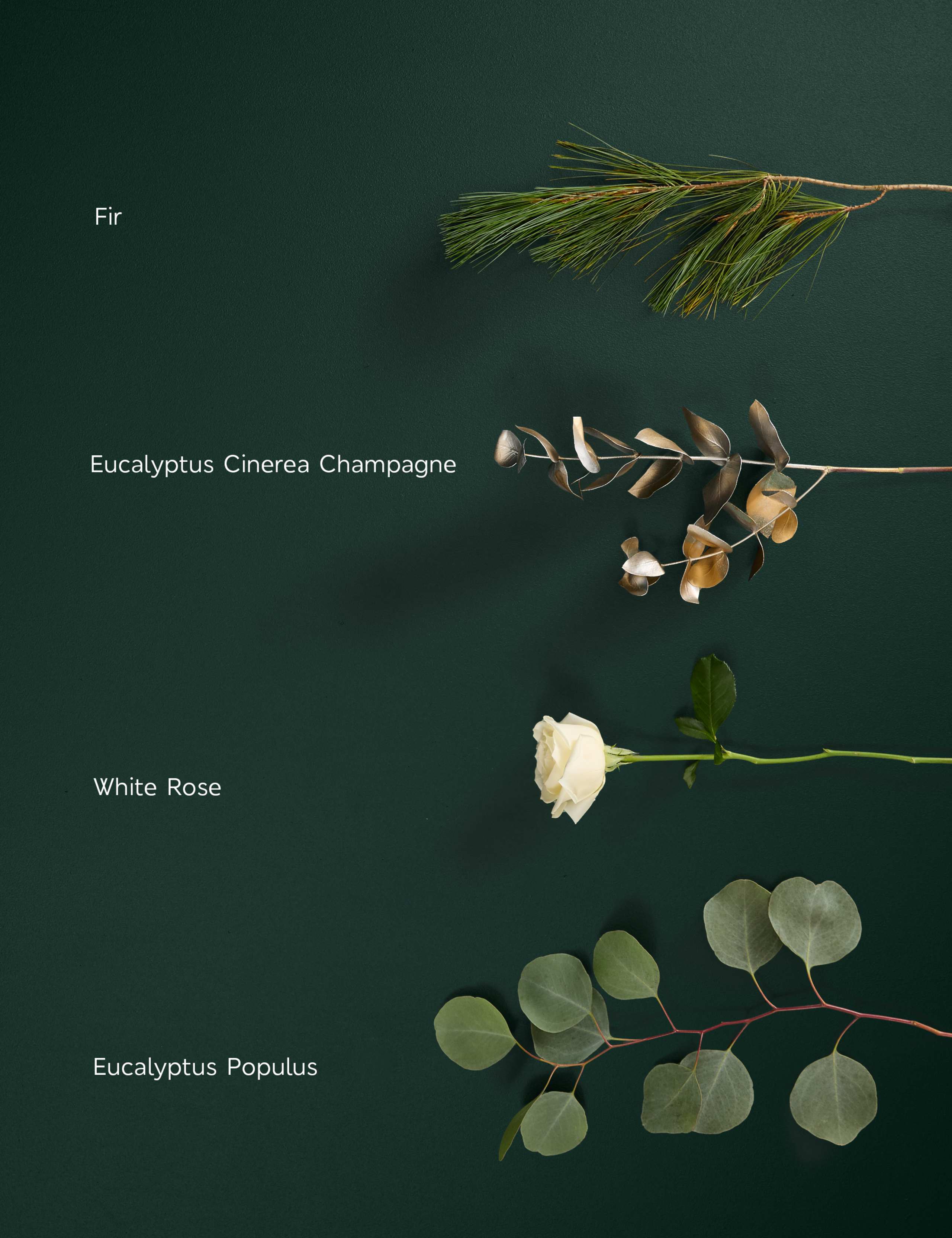 Luxury White Rose & Eucalyptus Bouquet with Vase & Gourmet Grazing Hamper 5 of 6