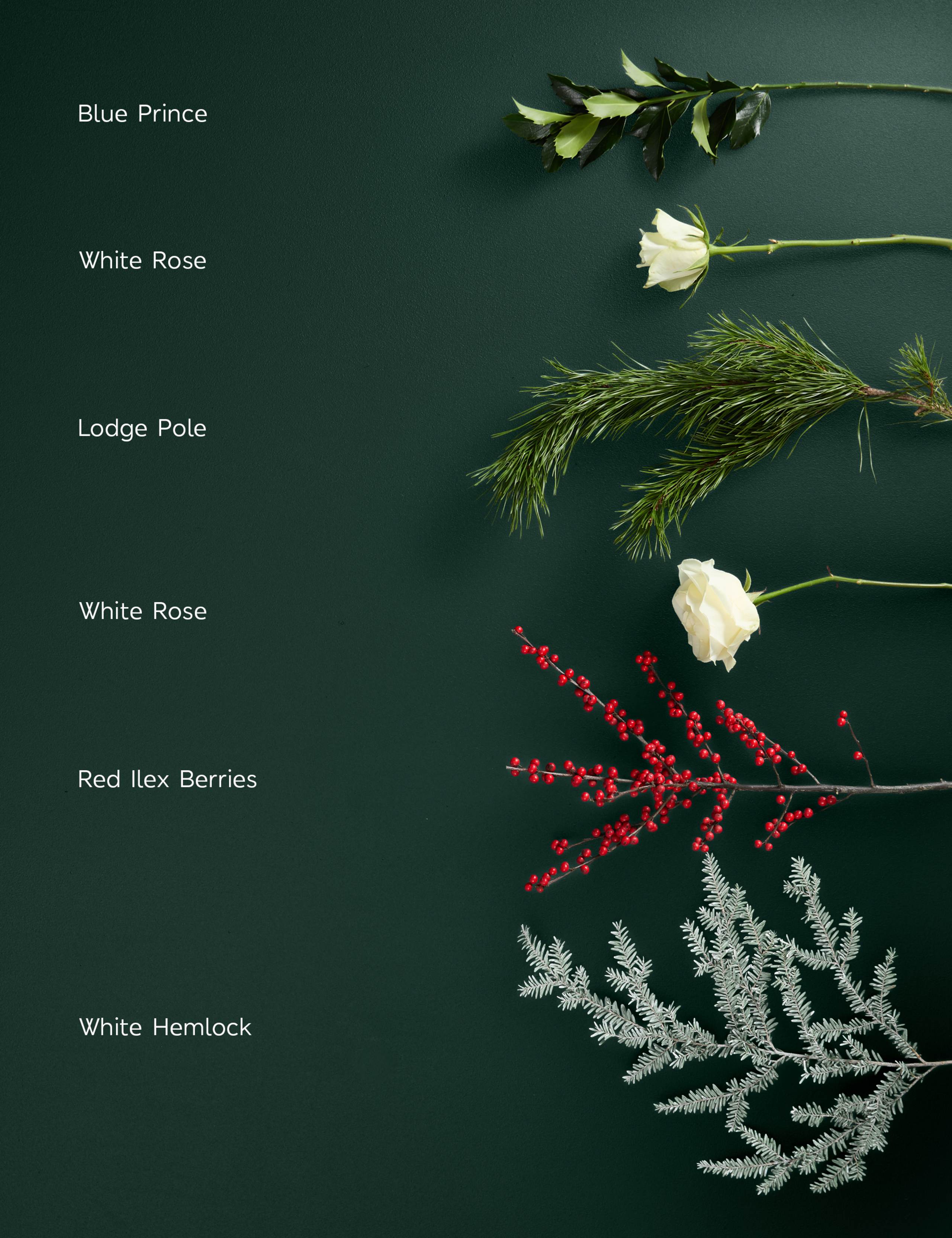 White Rose, Blue Prince, Ilex  Bouquet with Candle & Diffuser 4 of 9