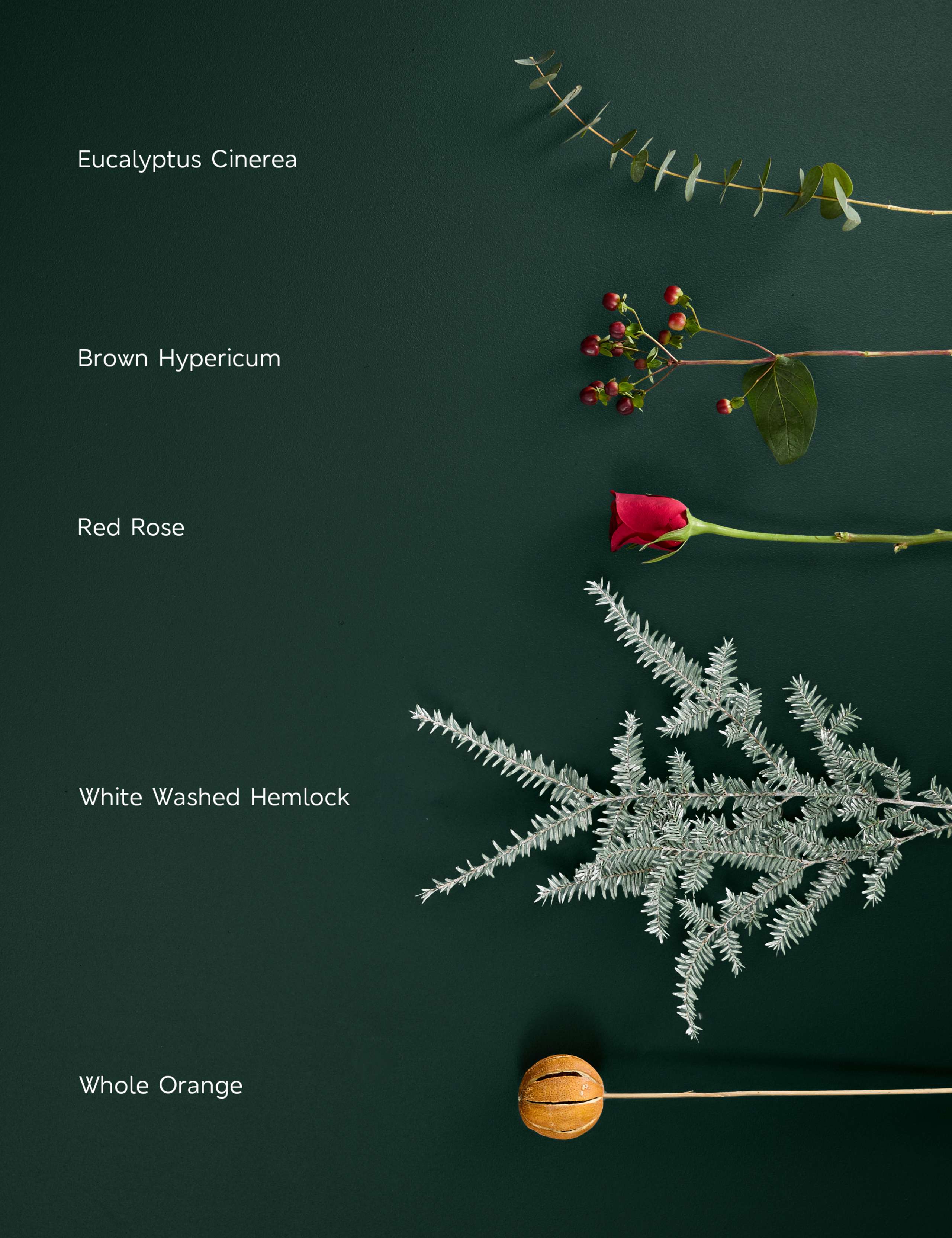 Red Roses & Hypericum Bouquet with Festive Letterbox Gift 3 of 6