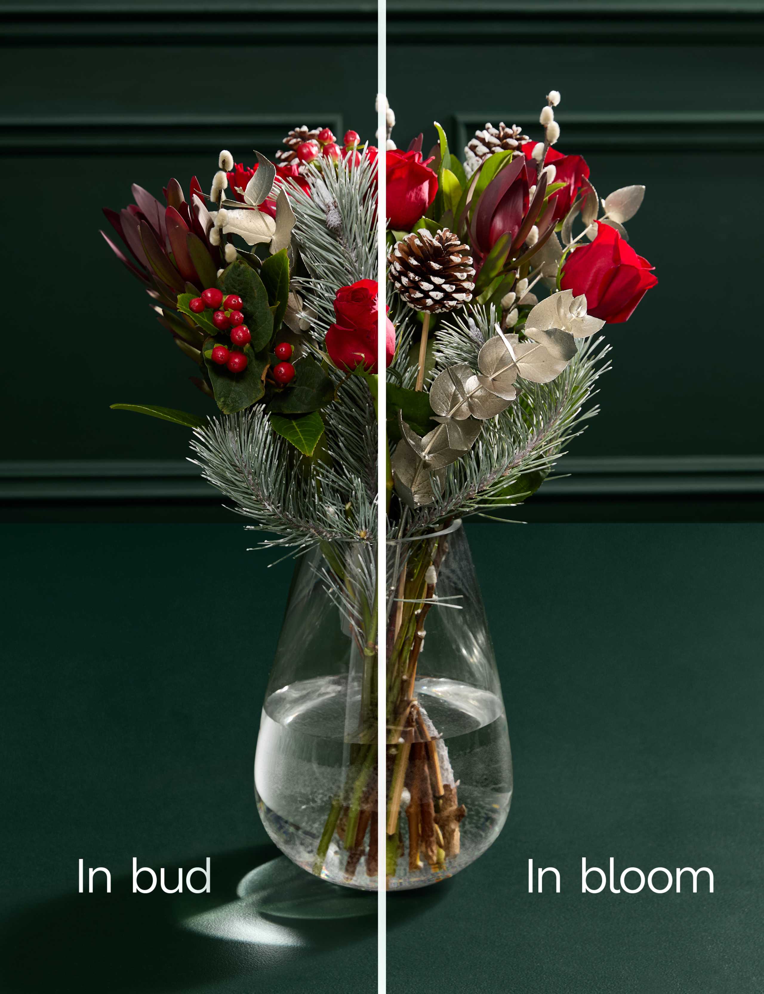 Red Rose with Scented Candle & Diffuser 5 of 9