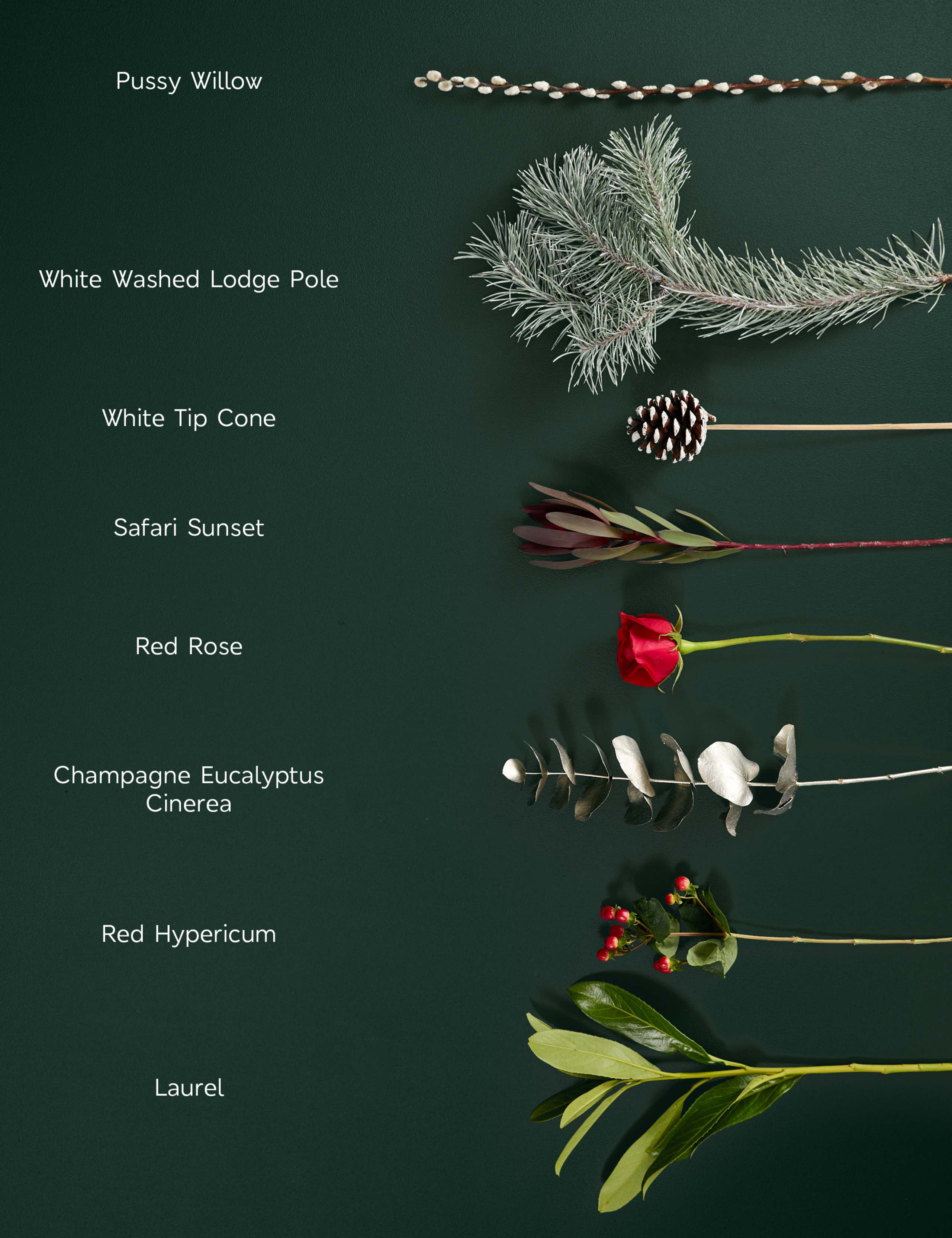 Red Rose with Scented Candle & Diffuser 6 of 9