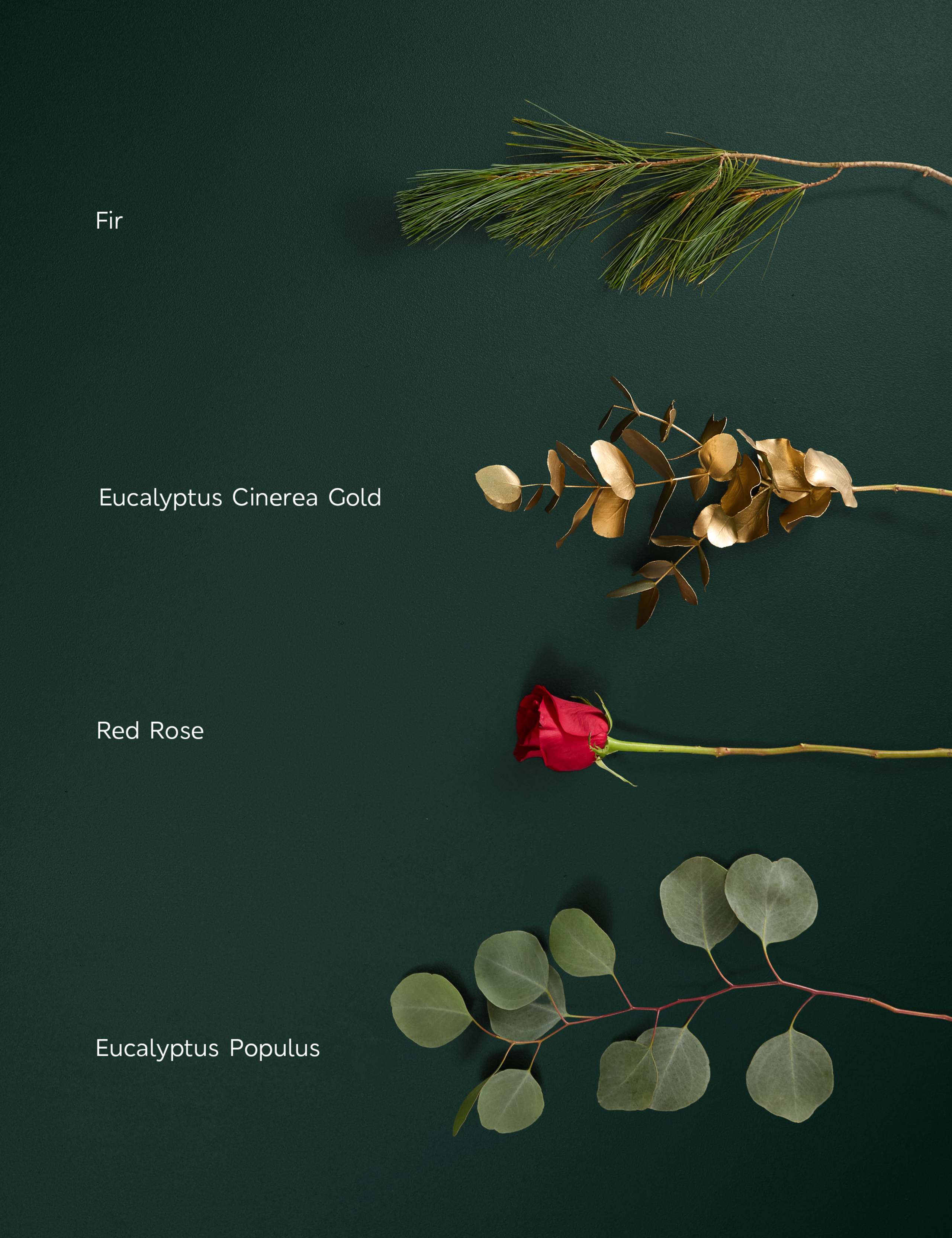 Luxury Red Rose Bouquet & Vase with Vintage Champagne & Truffles 5 of 8
