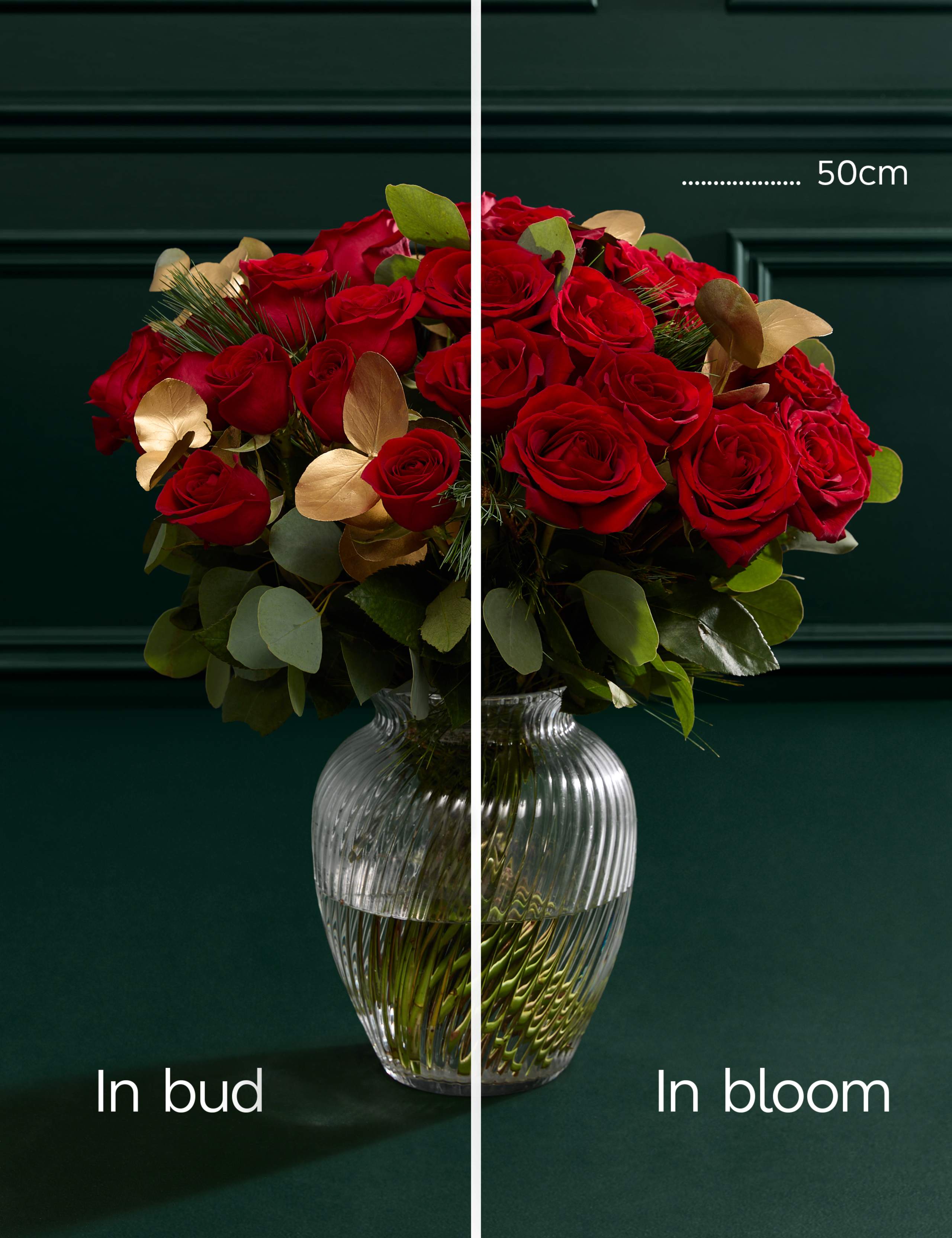 Luxury Red Rose Bouquet & Vase with Vintage Champagne & Truffles 6 of 8