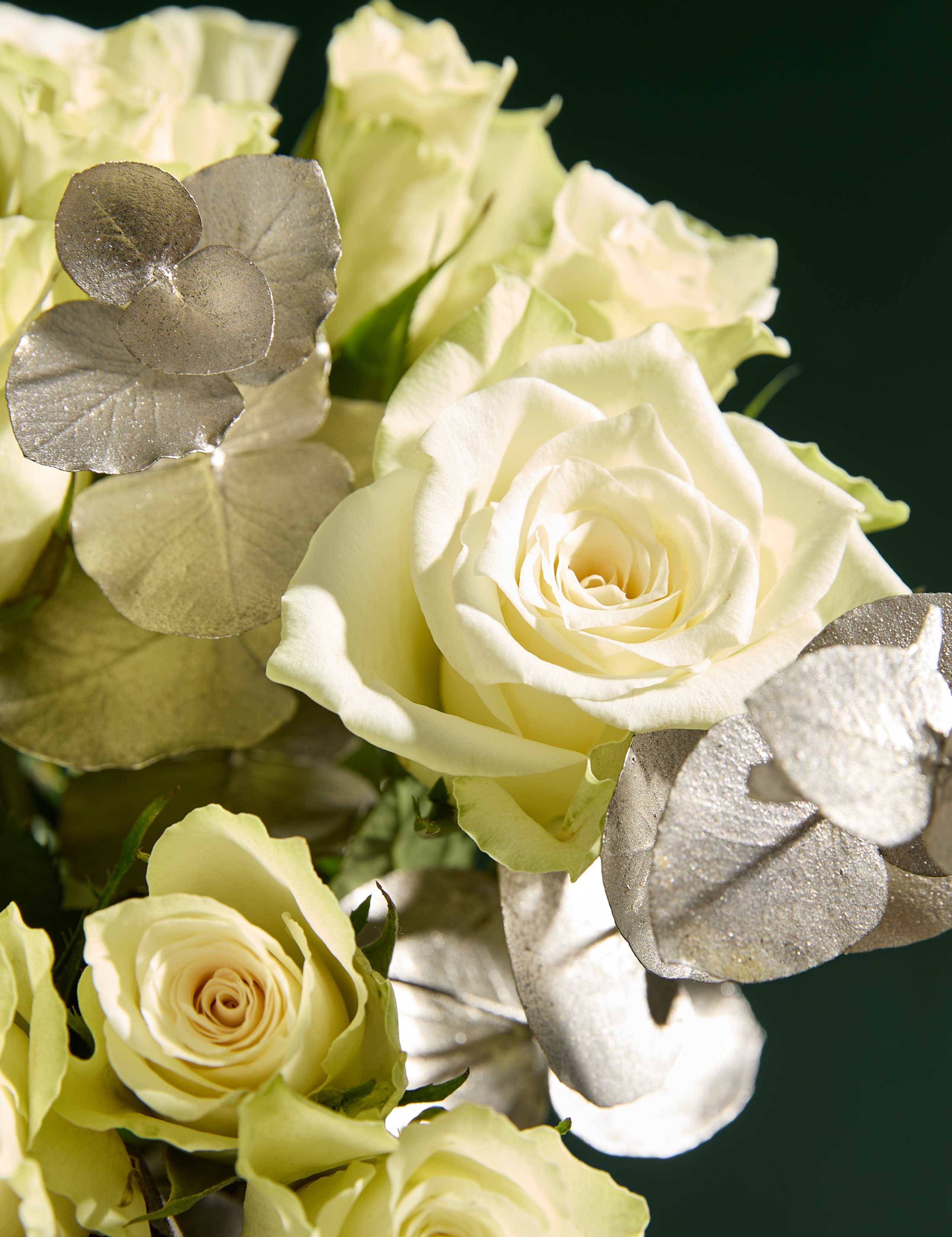 White Rose & Eucalyptus with Crémant & Truffles 6 of 7