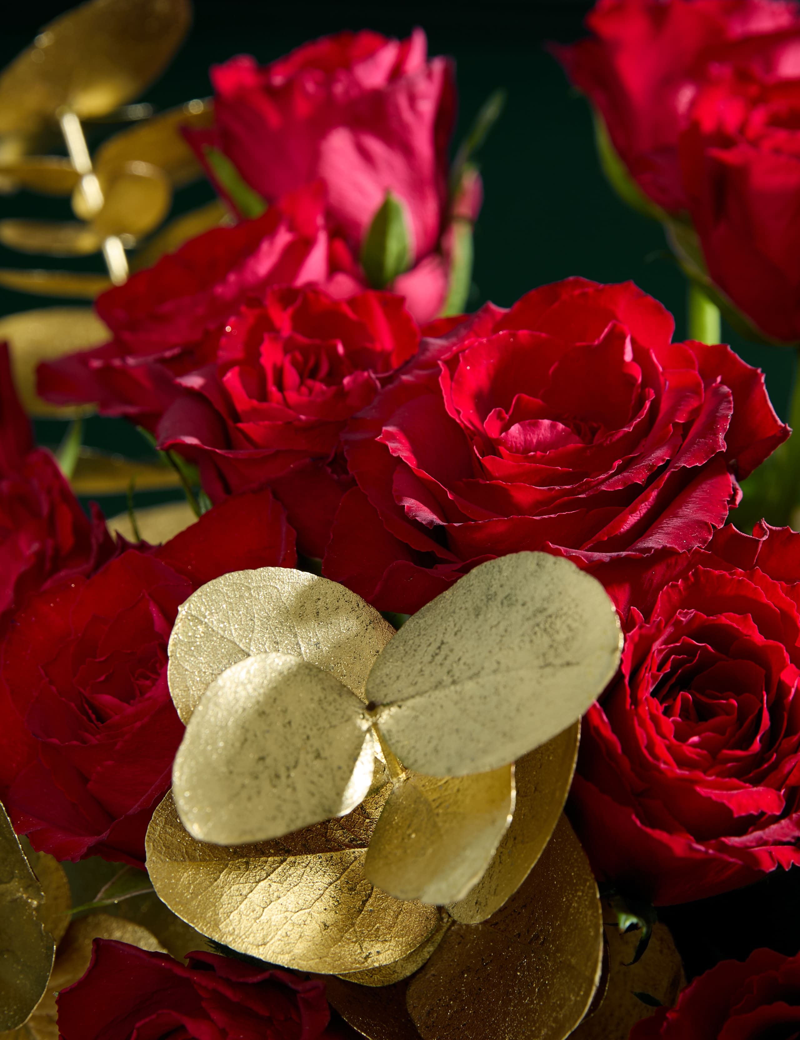 Red Rose & Eucalyptus Bouquet with Crémant & Truffles 3 of 6