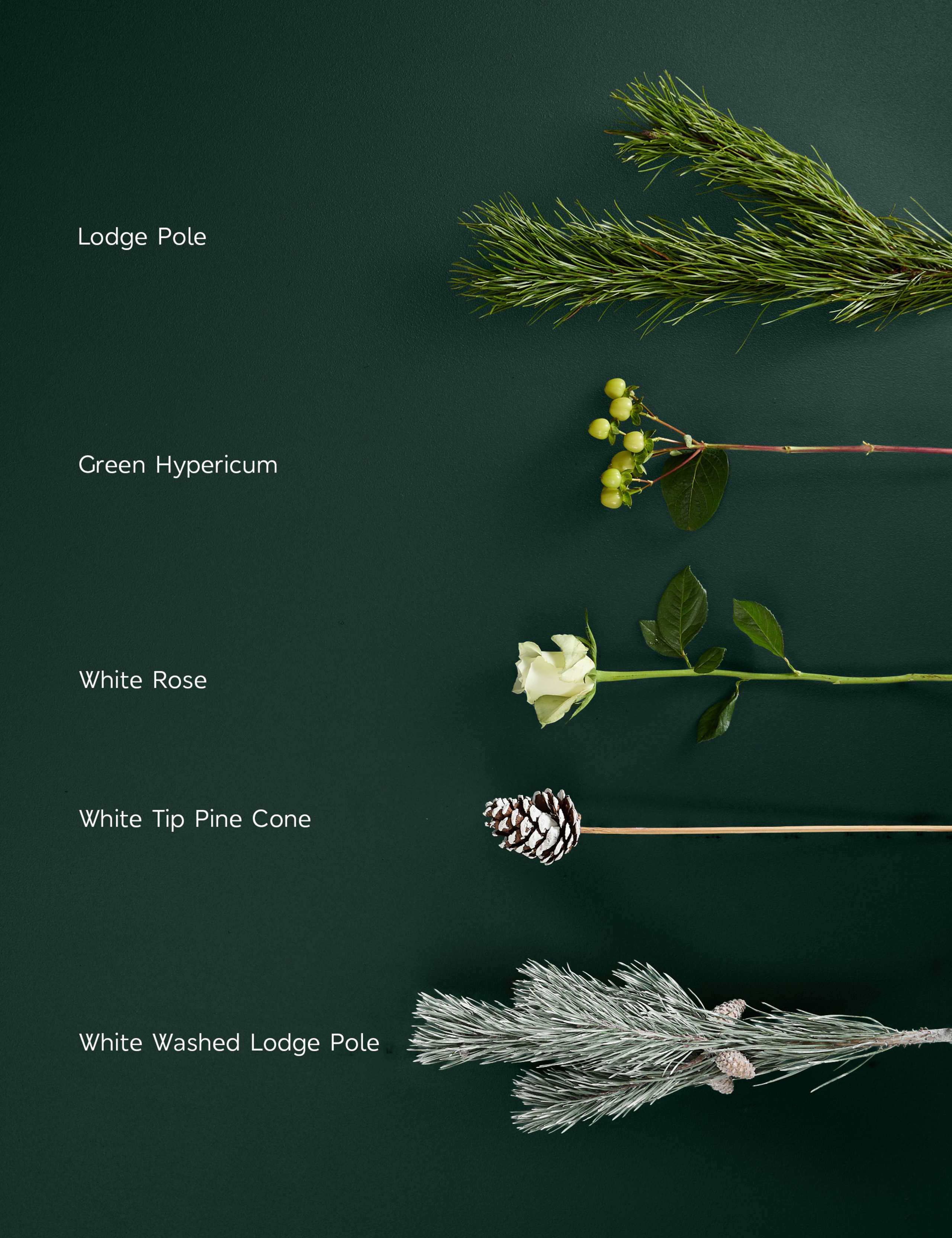 White Rose & Hypericum Bouquet with Toffee Tree & Candle 5 of 7