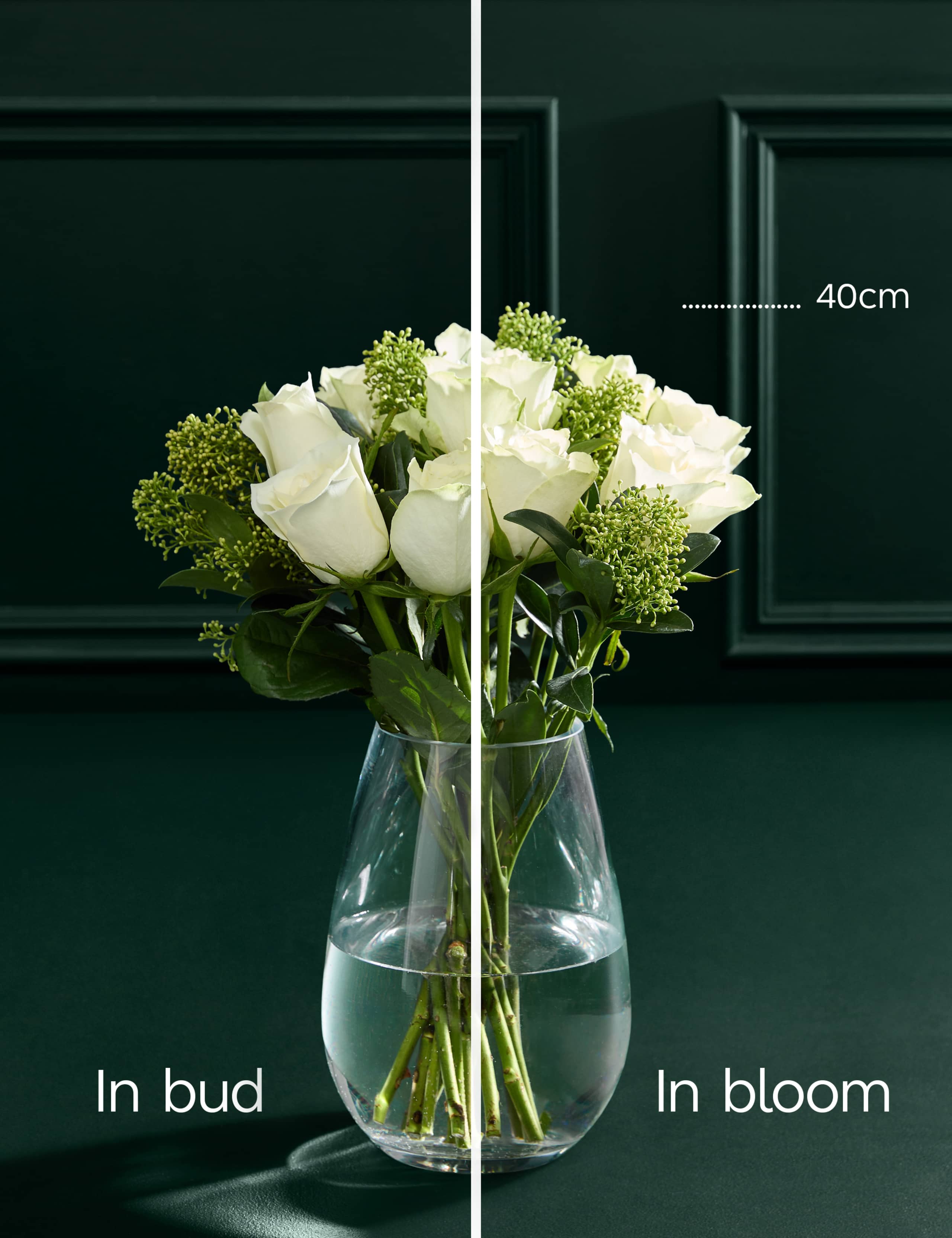 White Rose & Skimmia Bouquet with Chocolates 5 of 7