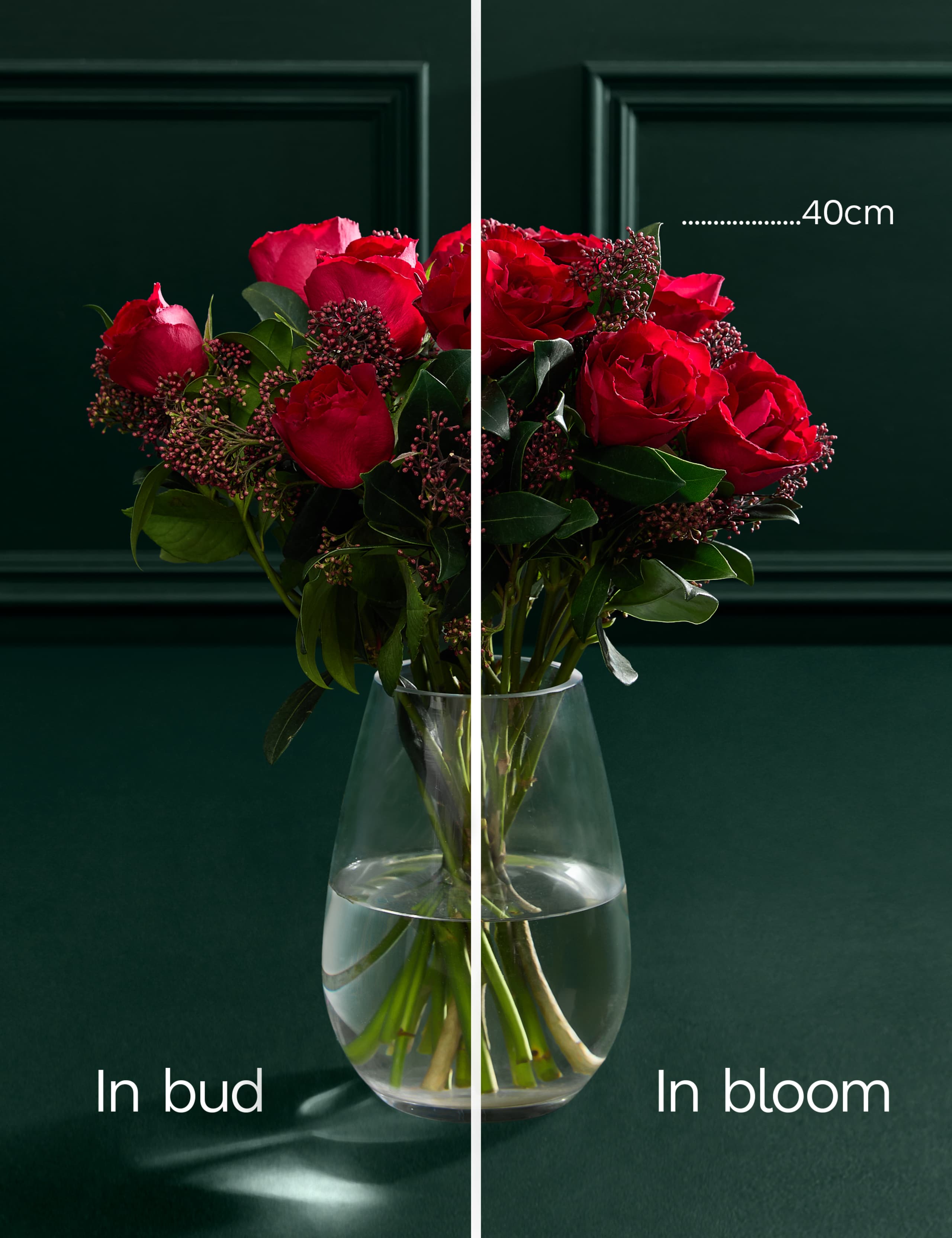 Red Rose & Skimmia Bouquet with Chocolates 3 of 4