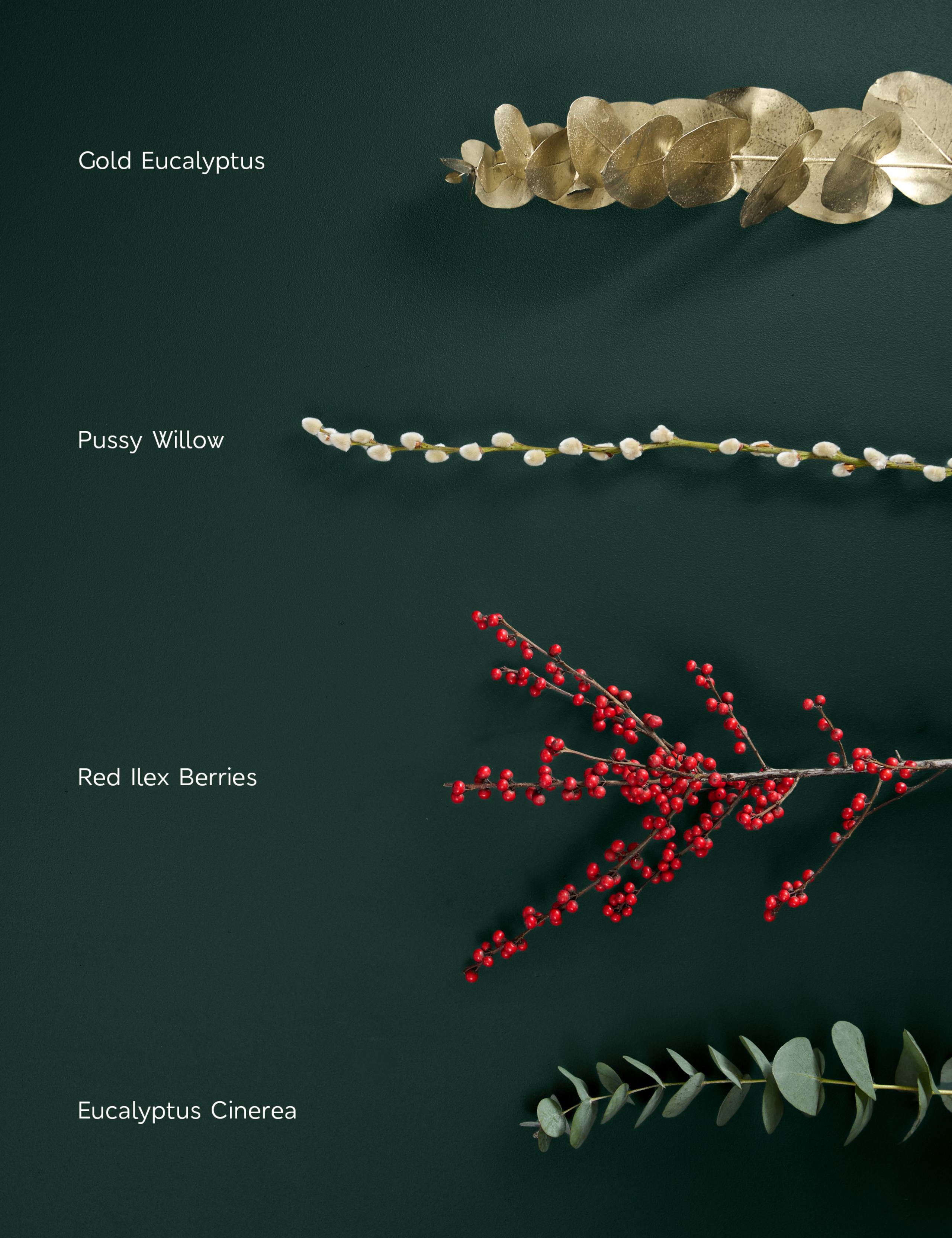 Ilex & Gold Eucalyptus Bouquet 4 of 5