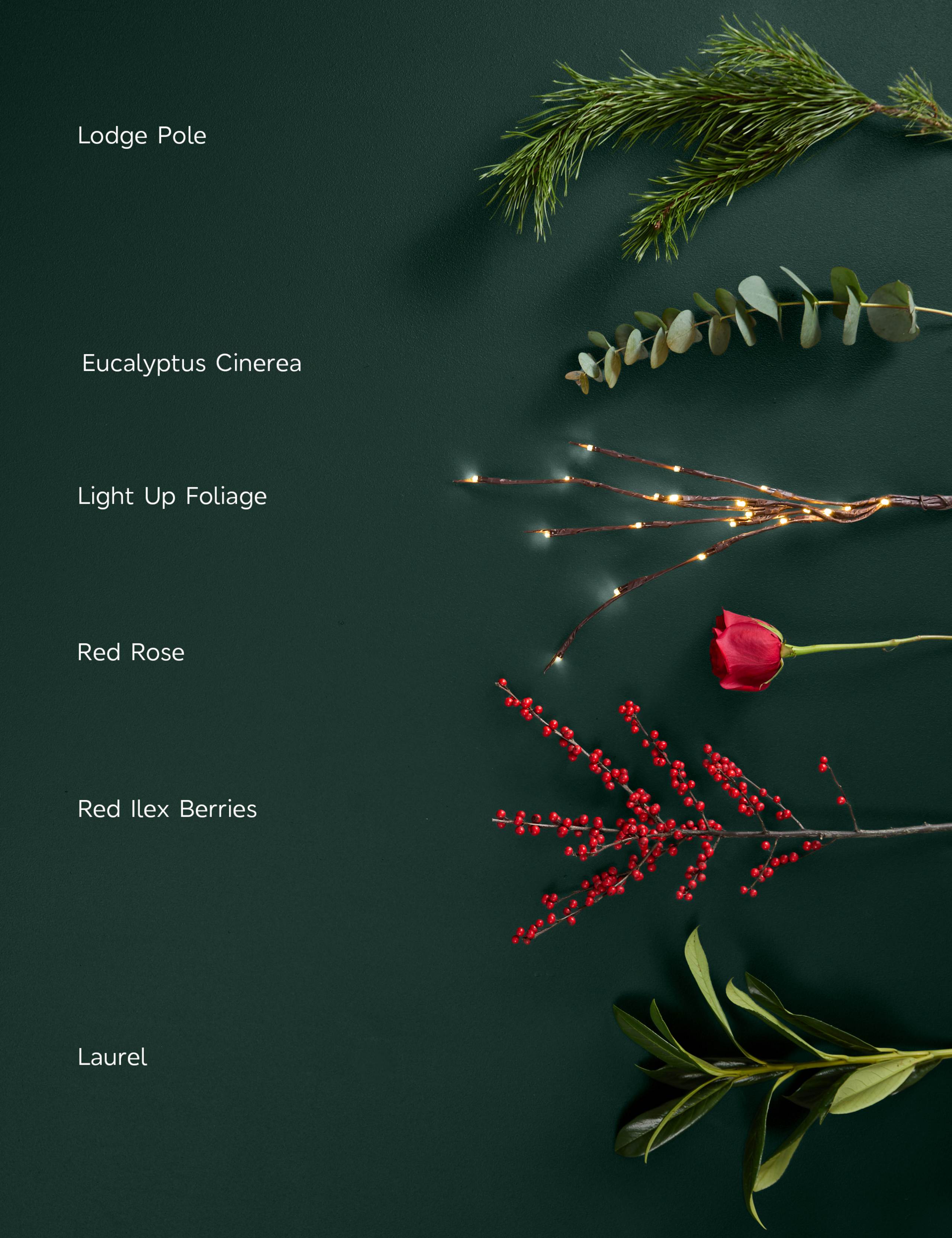 Festive Red Rose Light Up Bouquet 4 of 6