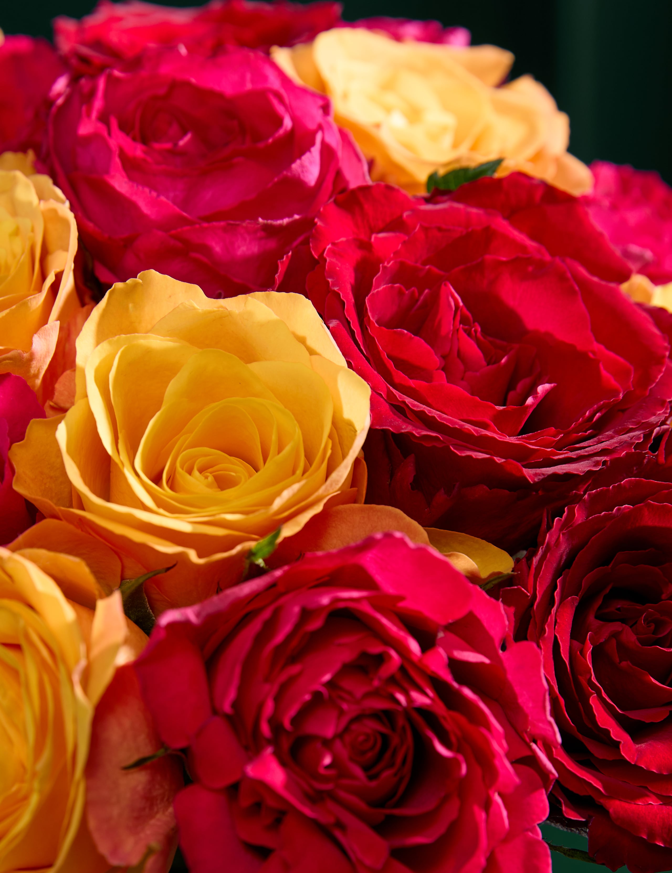 Small Radiant Rose Abundance Bouquet 5 of 8