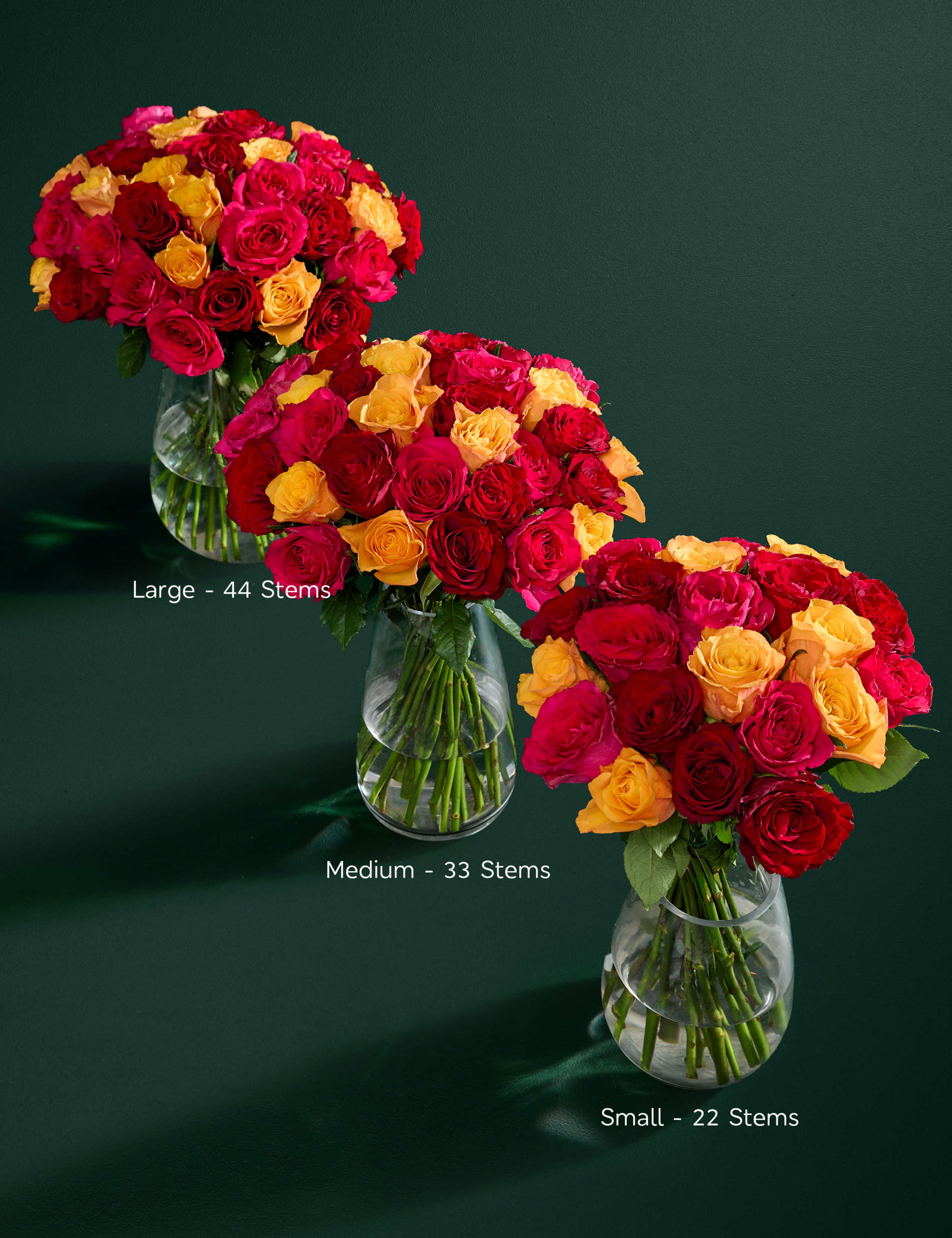 Small Radiant Rose Abundance Bouquet 7 of 9