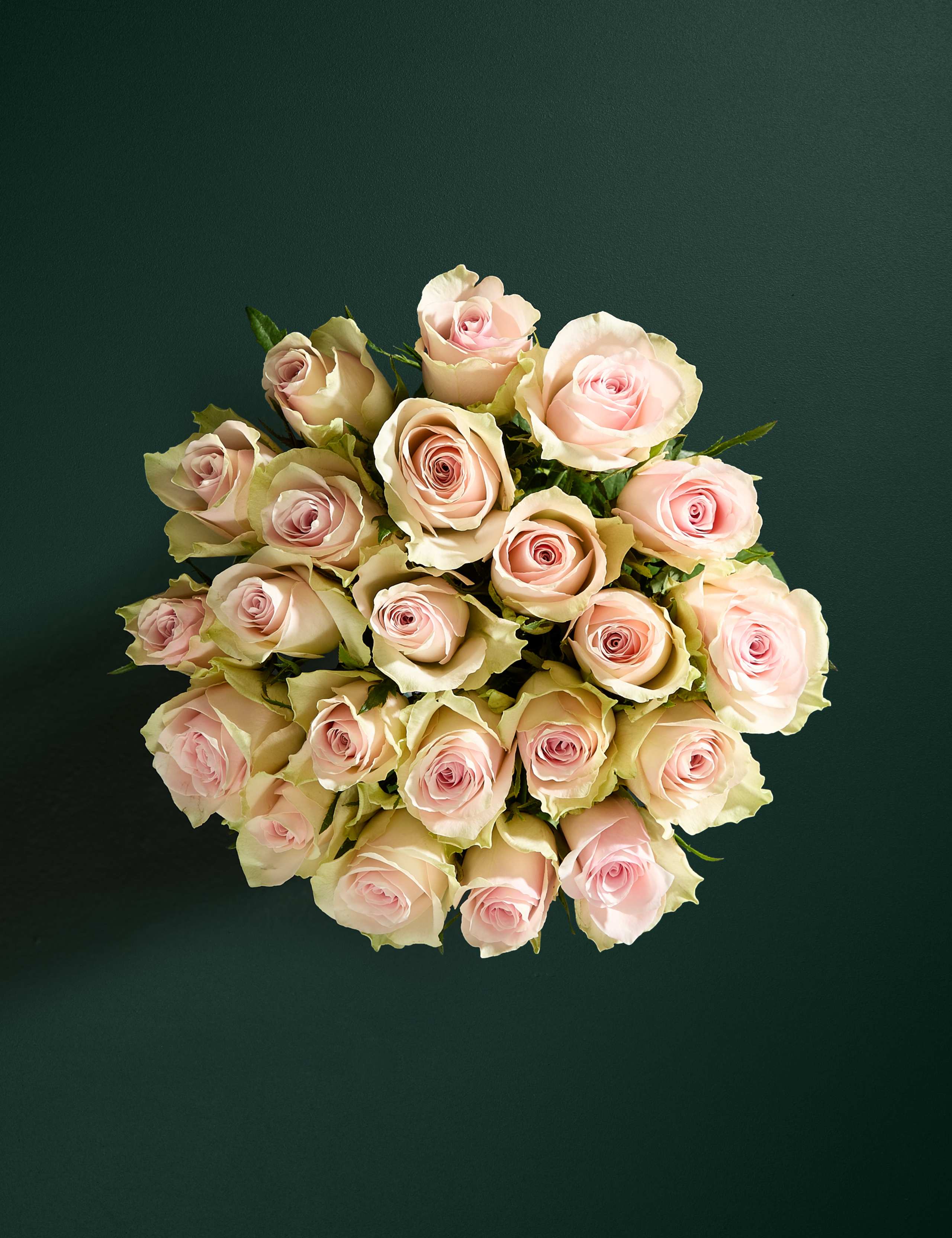 Blush Rose Abundance with Balconne Rose 2 of 7