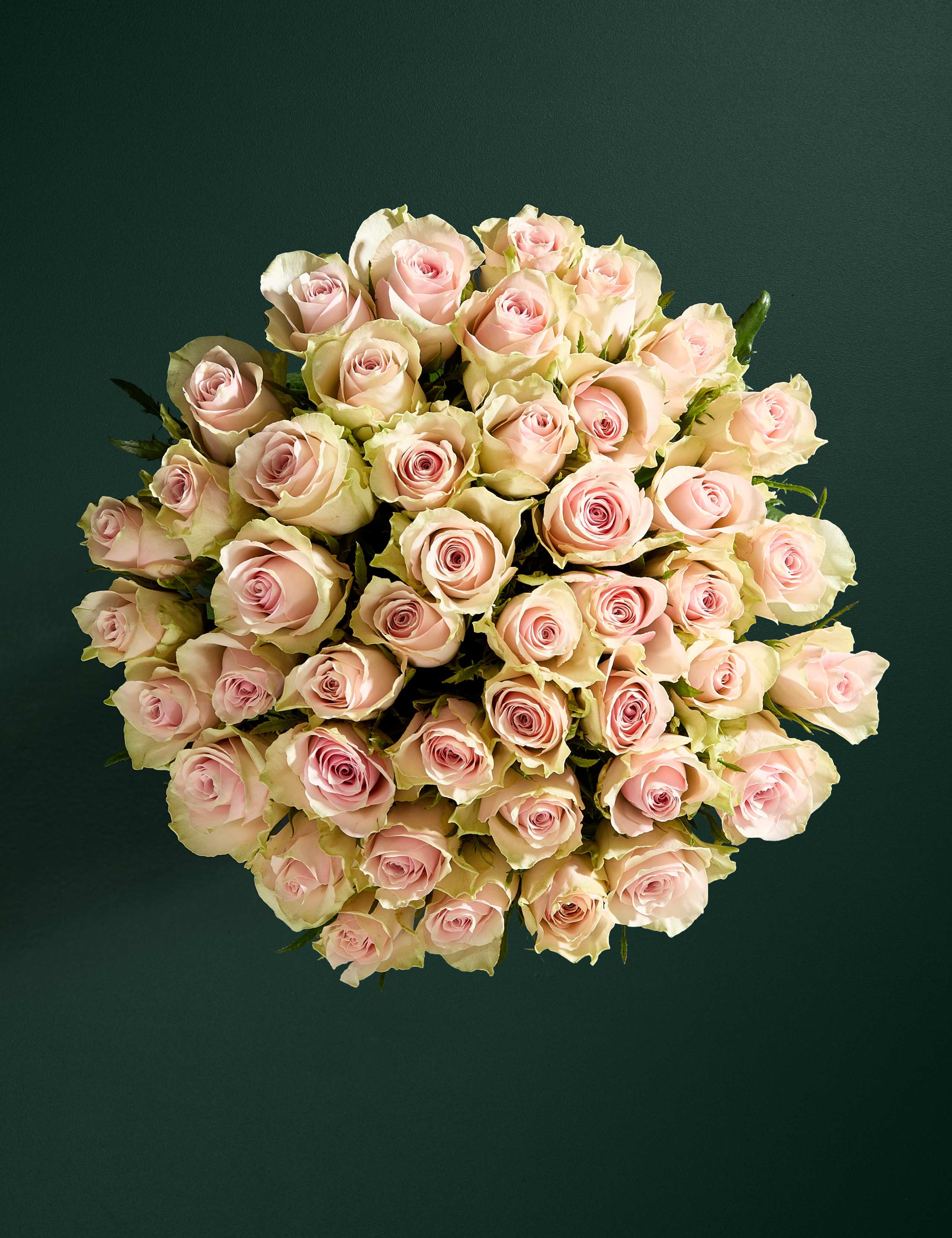 Large Blush Rose Abundance Bouquet 4 of 9
