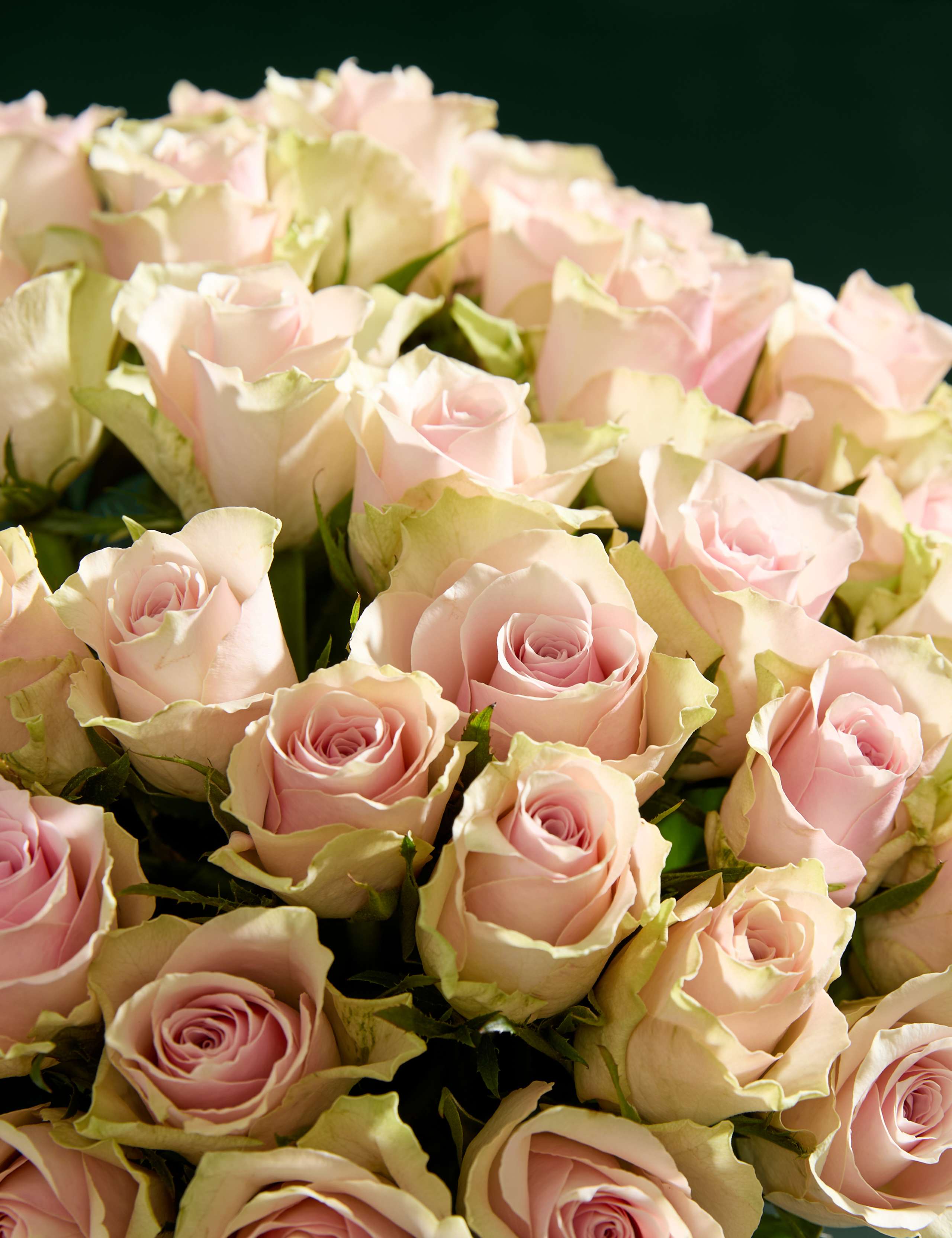 Large Blush Rose Abundance Bouquet 5 of 9