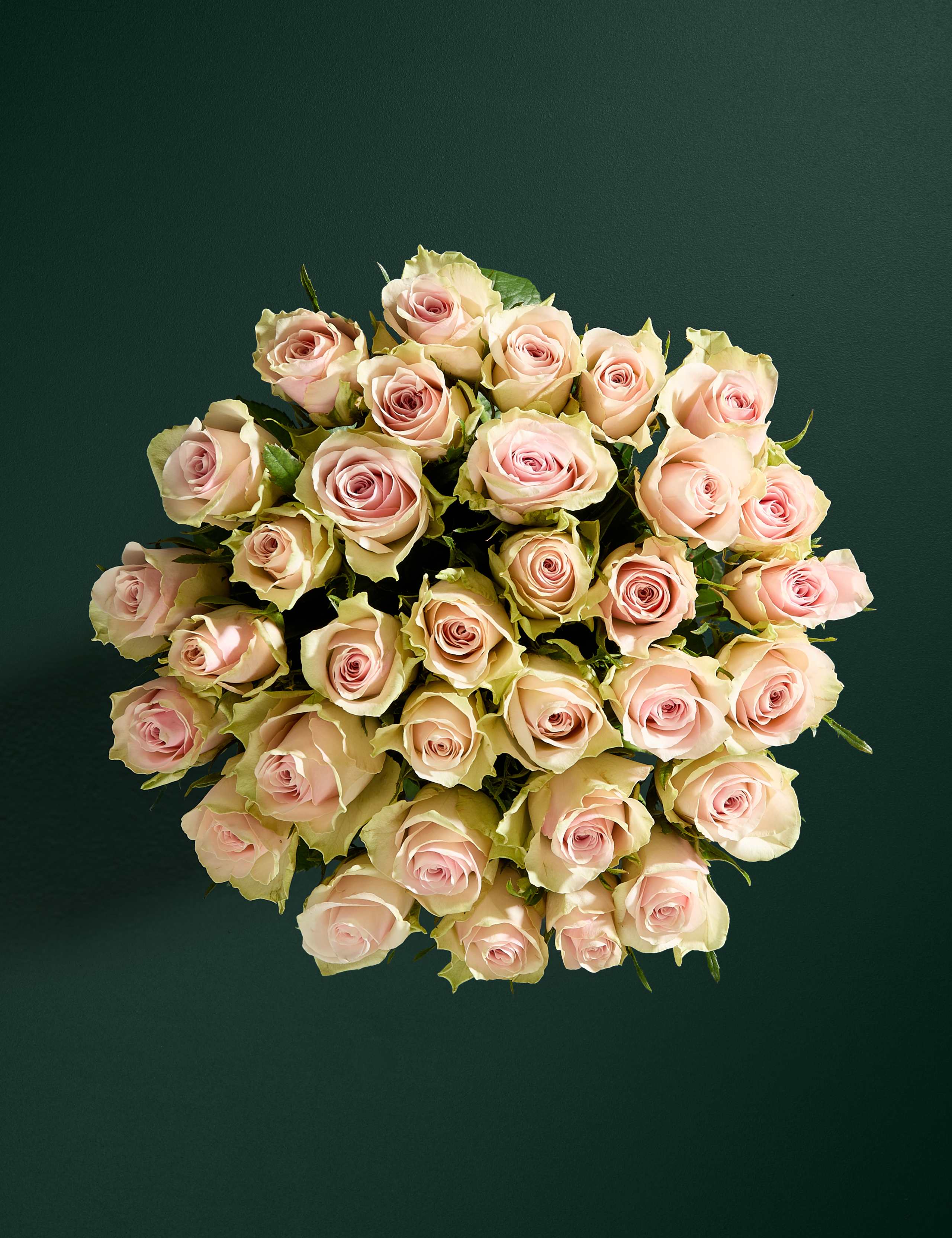 Medium Blush Rose Abundance Bouquet 3 of 7