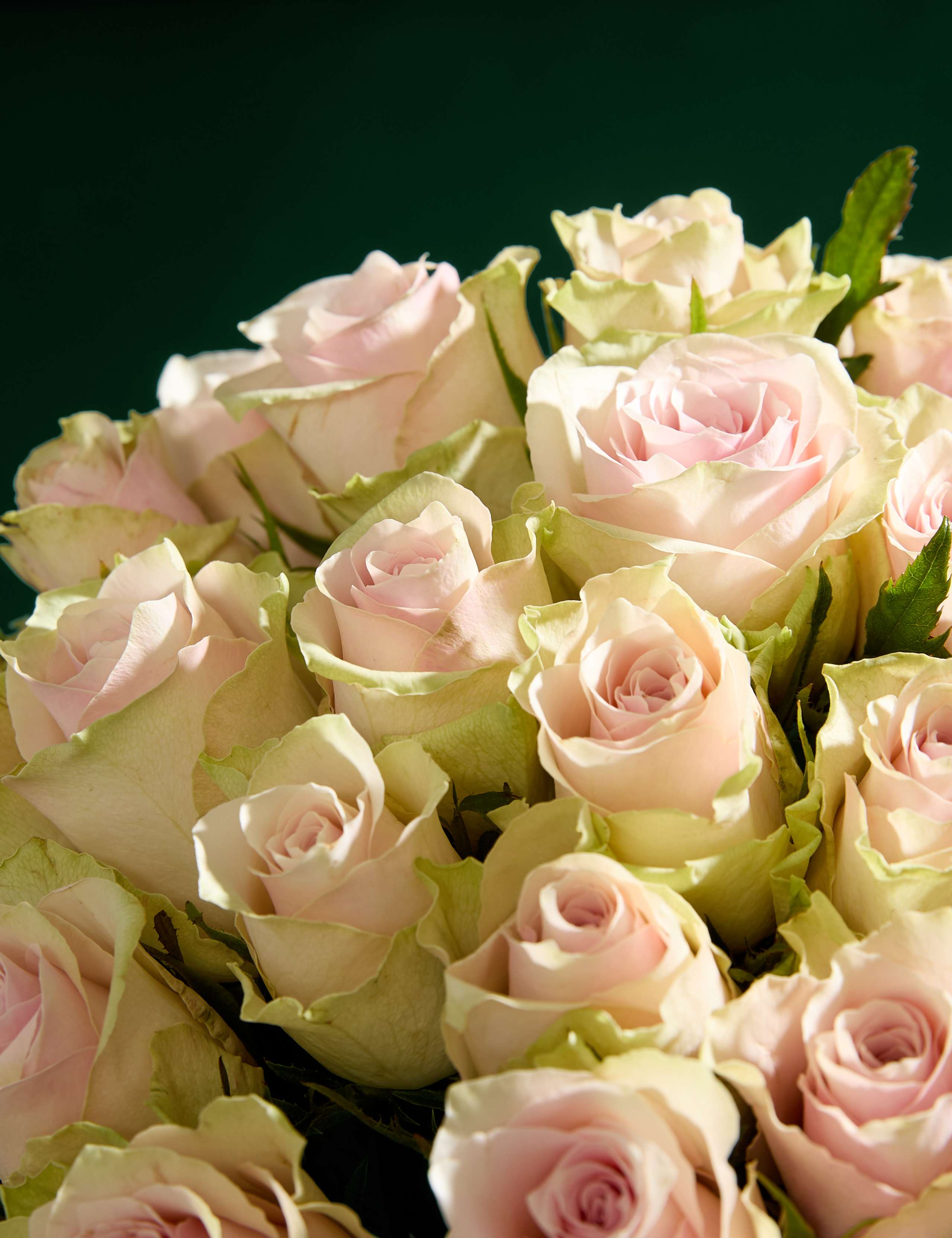 Medium Blush Rose Abundance Bouquet 4 of 7