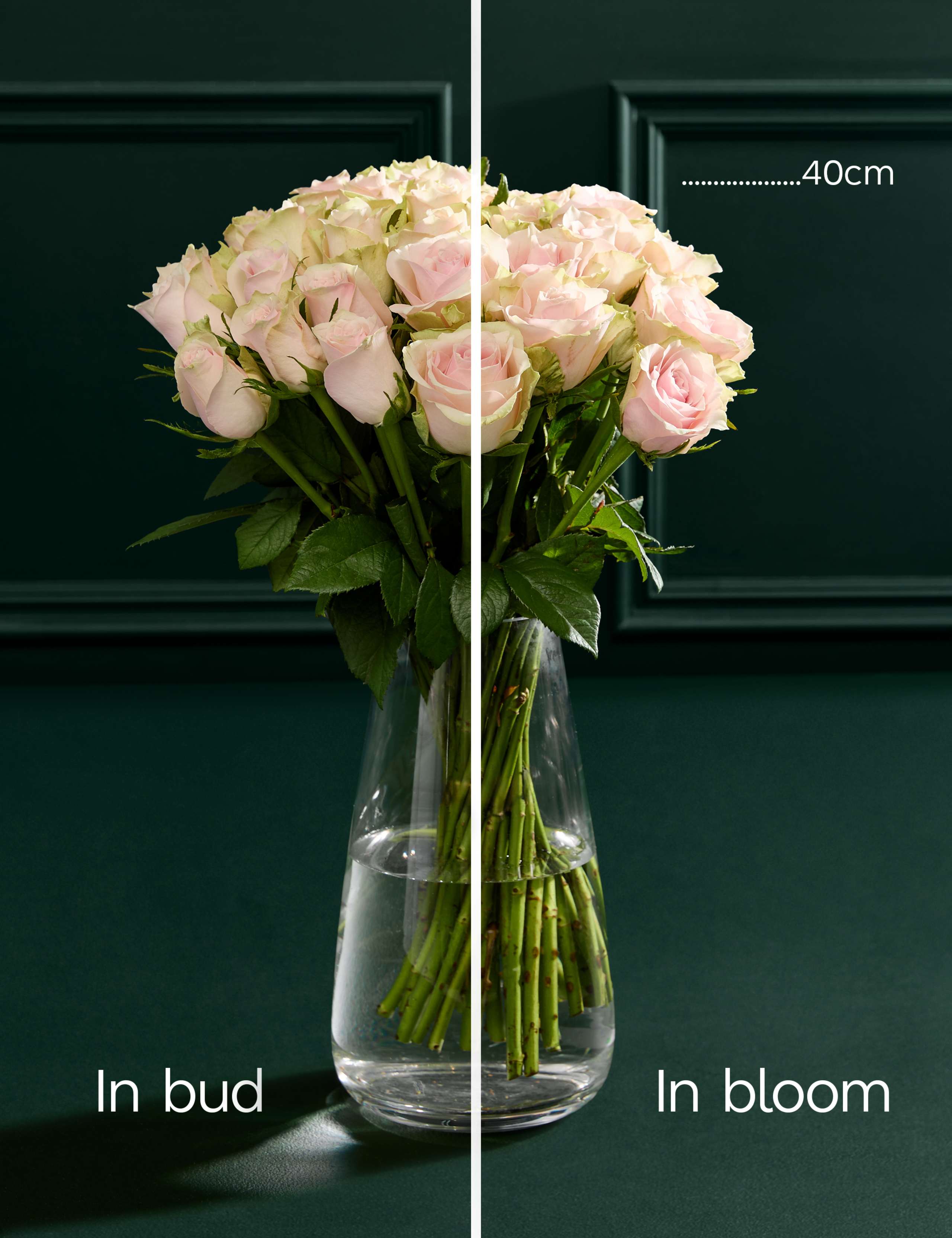 Medium Blush Rose Abundance Bouquet 5 of 7