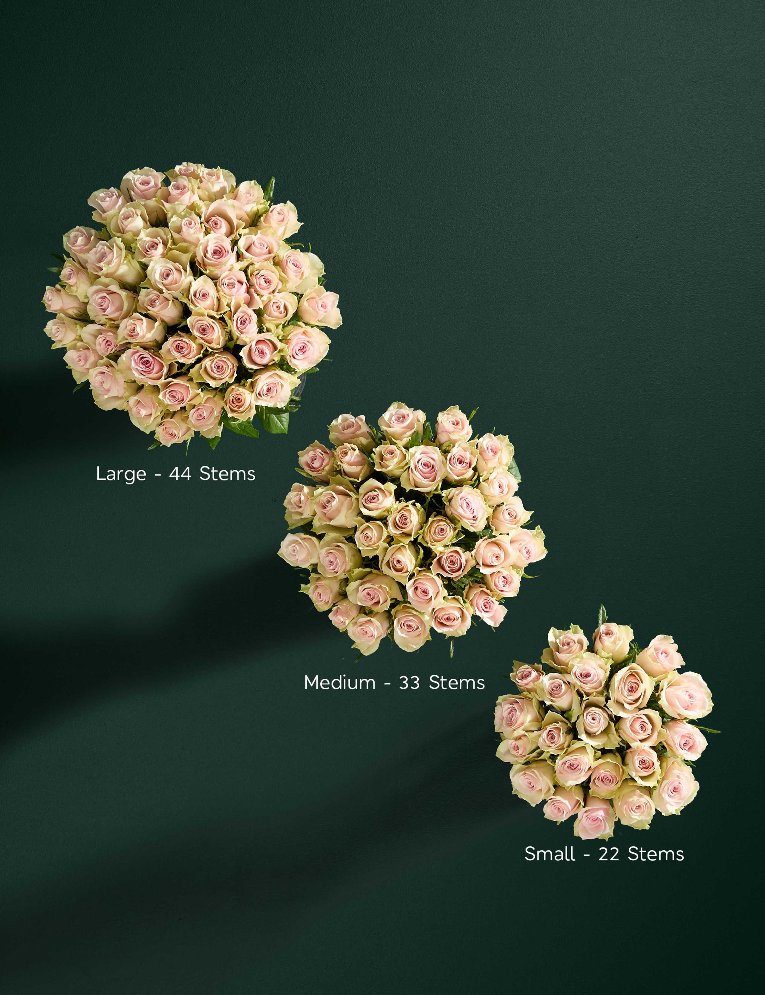 Medium Blush Rose Abundance Bouquet 6 of 8