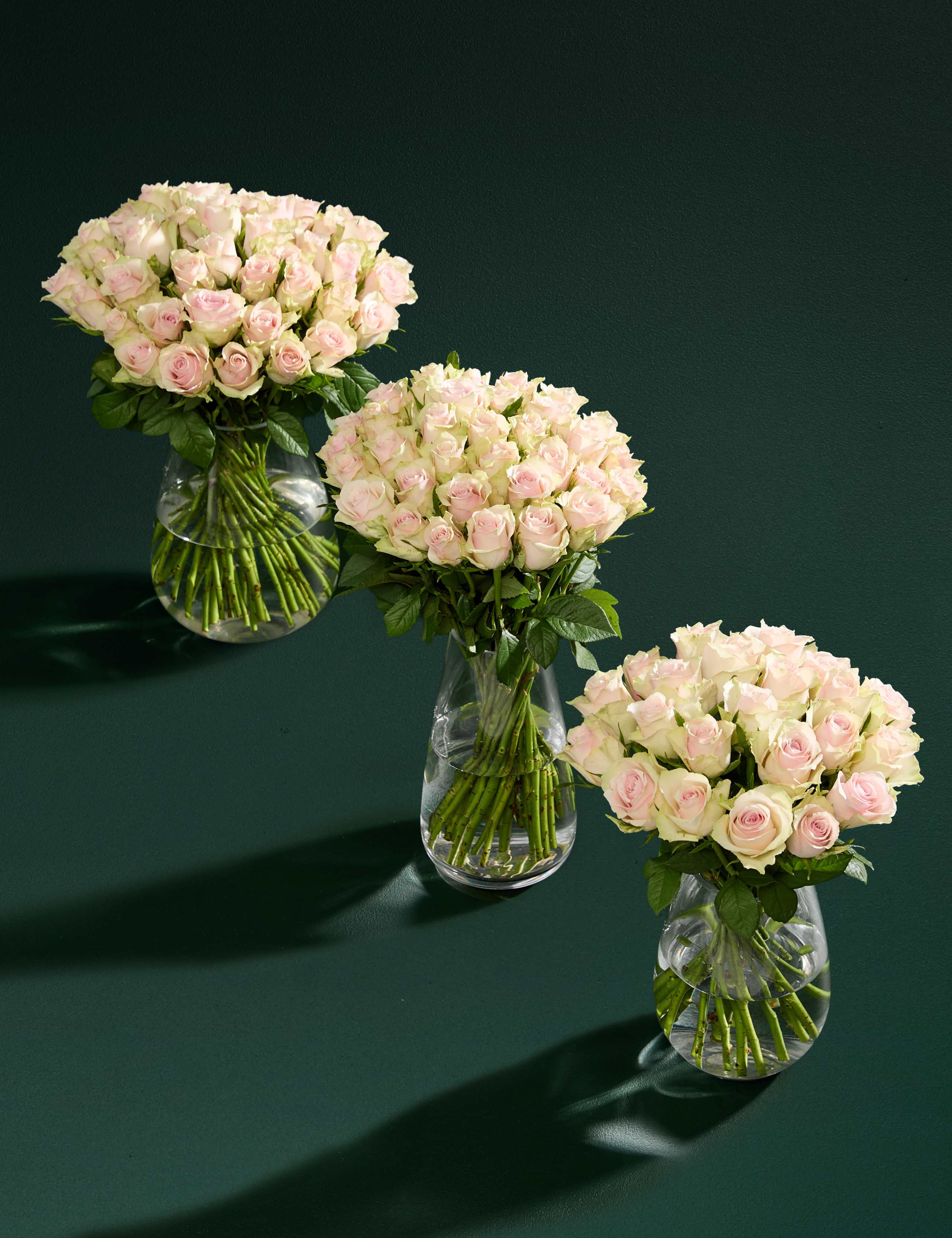 Medium Blush Rose Abundance Bouquet 2 of 7