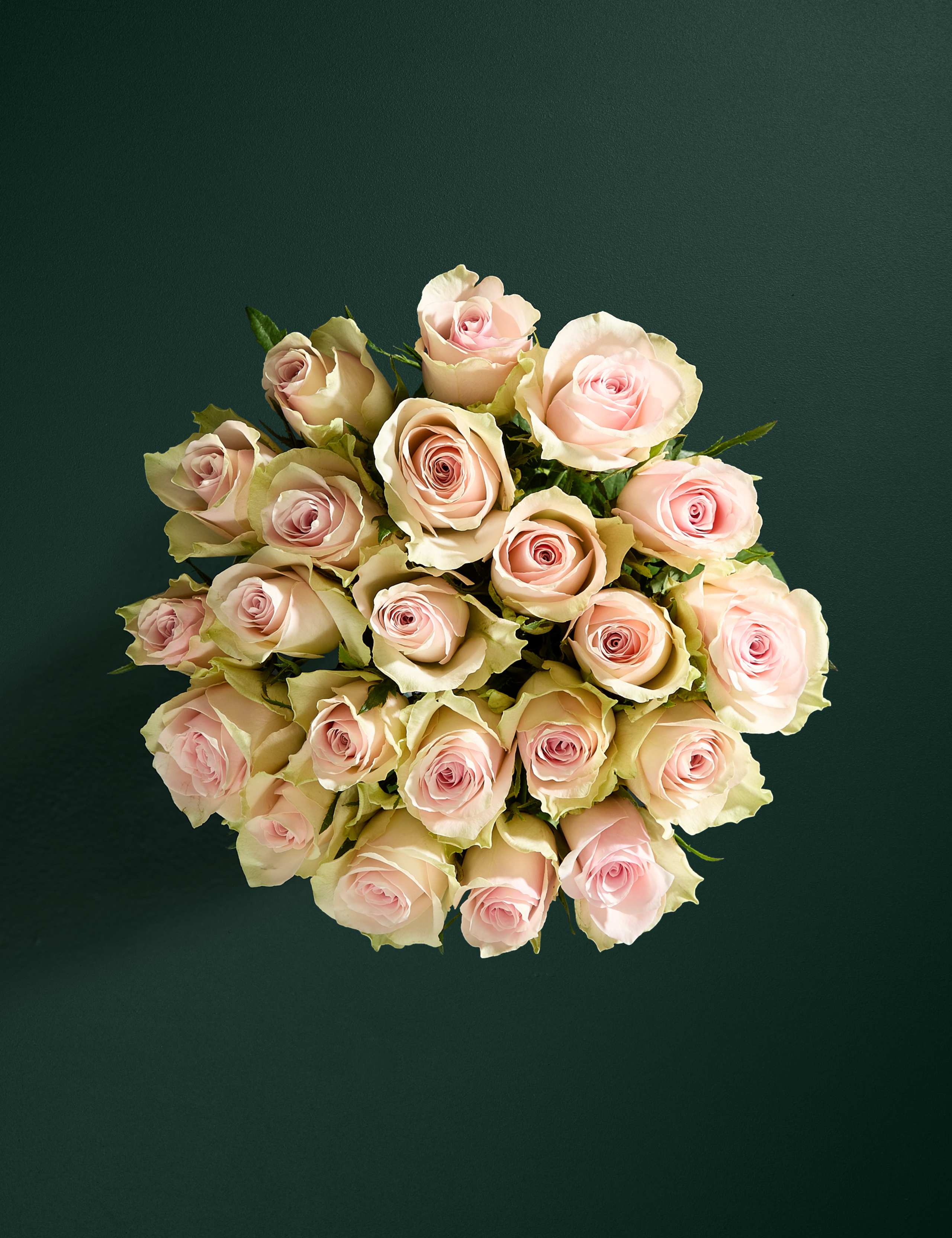 Small Blush Rose Abundance Bouquet 3 of 7