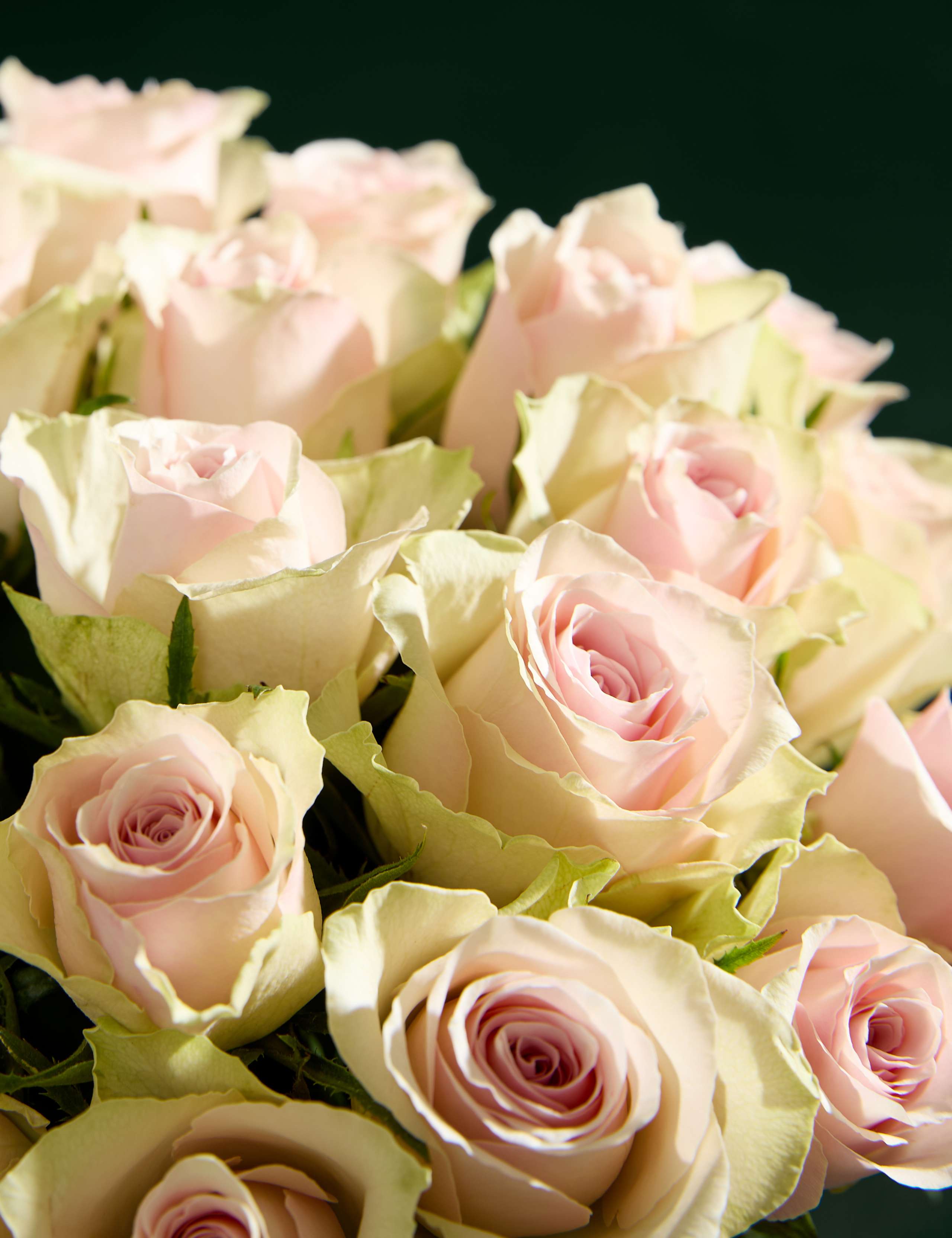 Small Blush Rose Abundance Bouquet 4 of 7