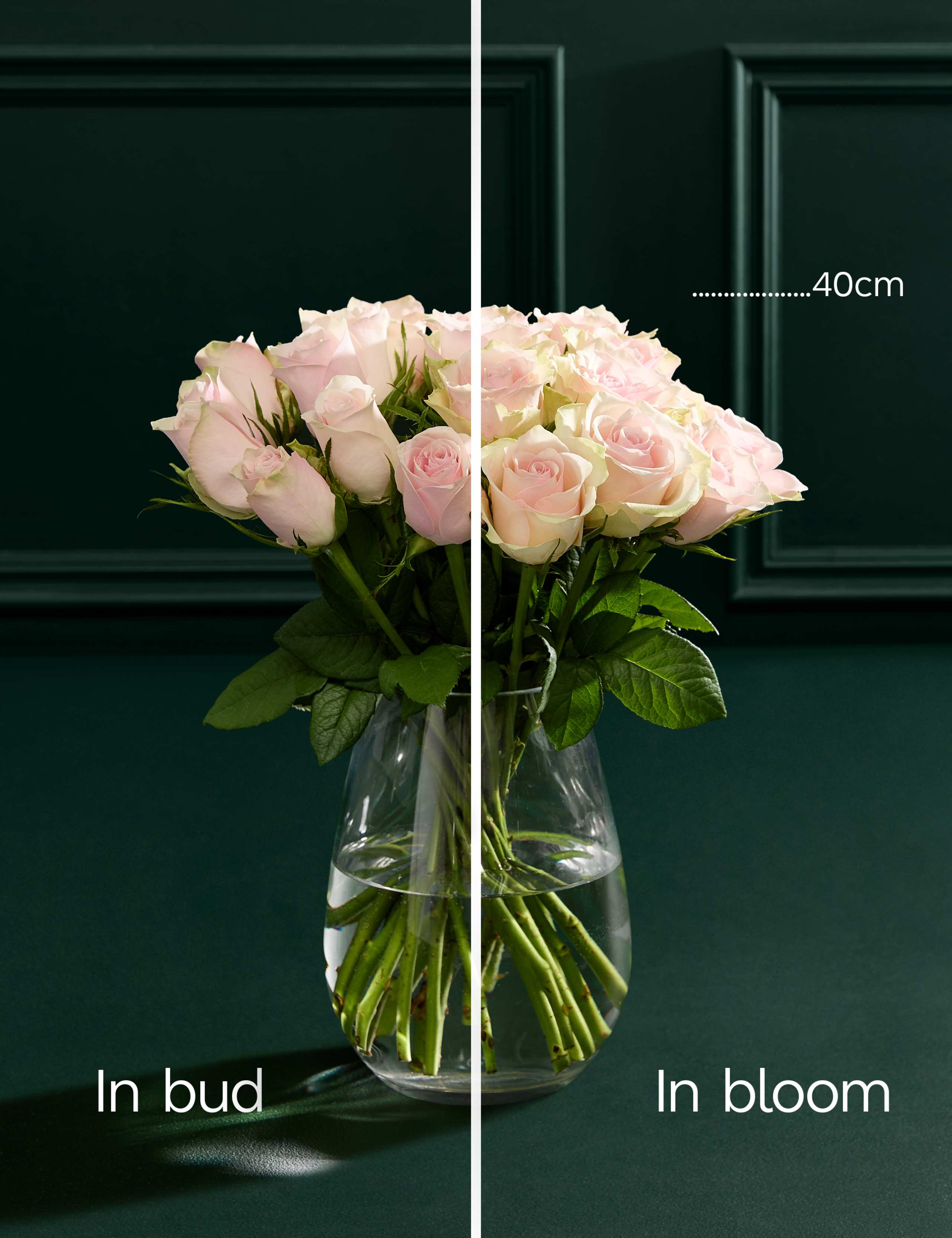 Small Blush Rose Abundance Bouquet 5 of 7