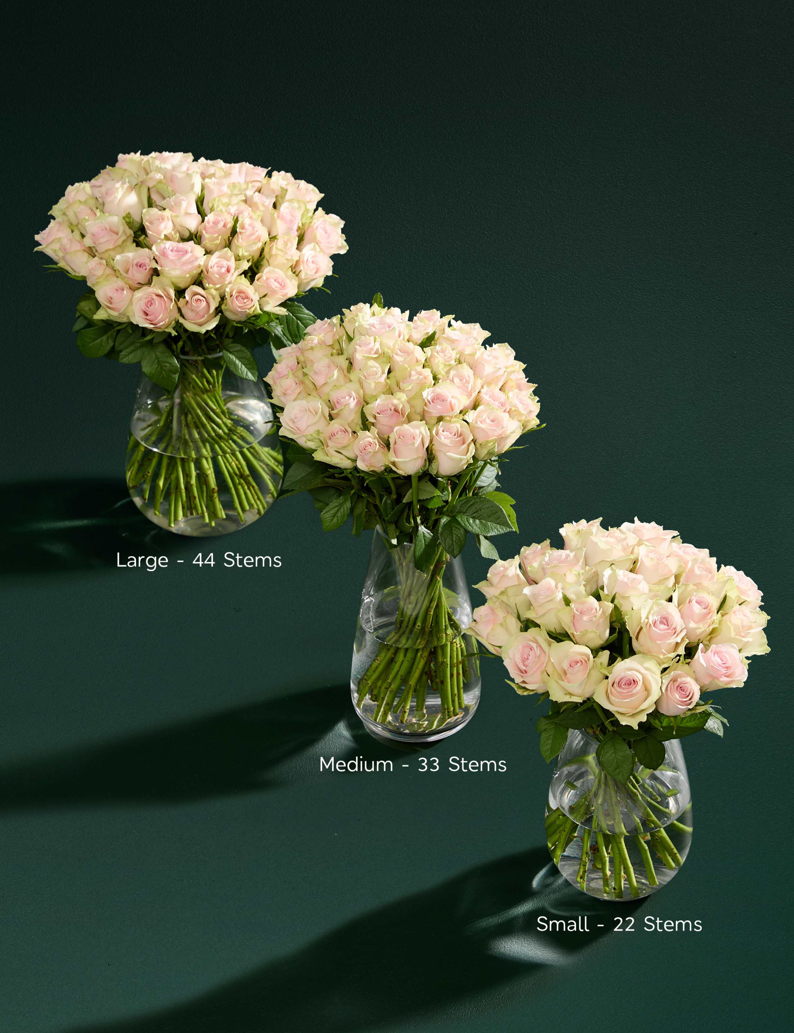 Small Blush Rose Abundance Bouquet 6 of 8