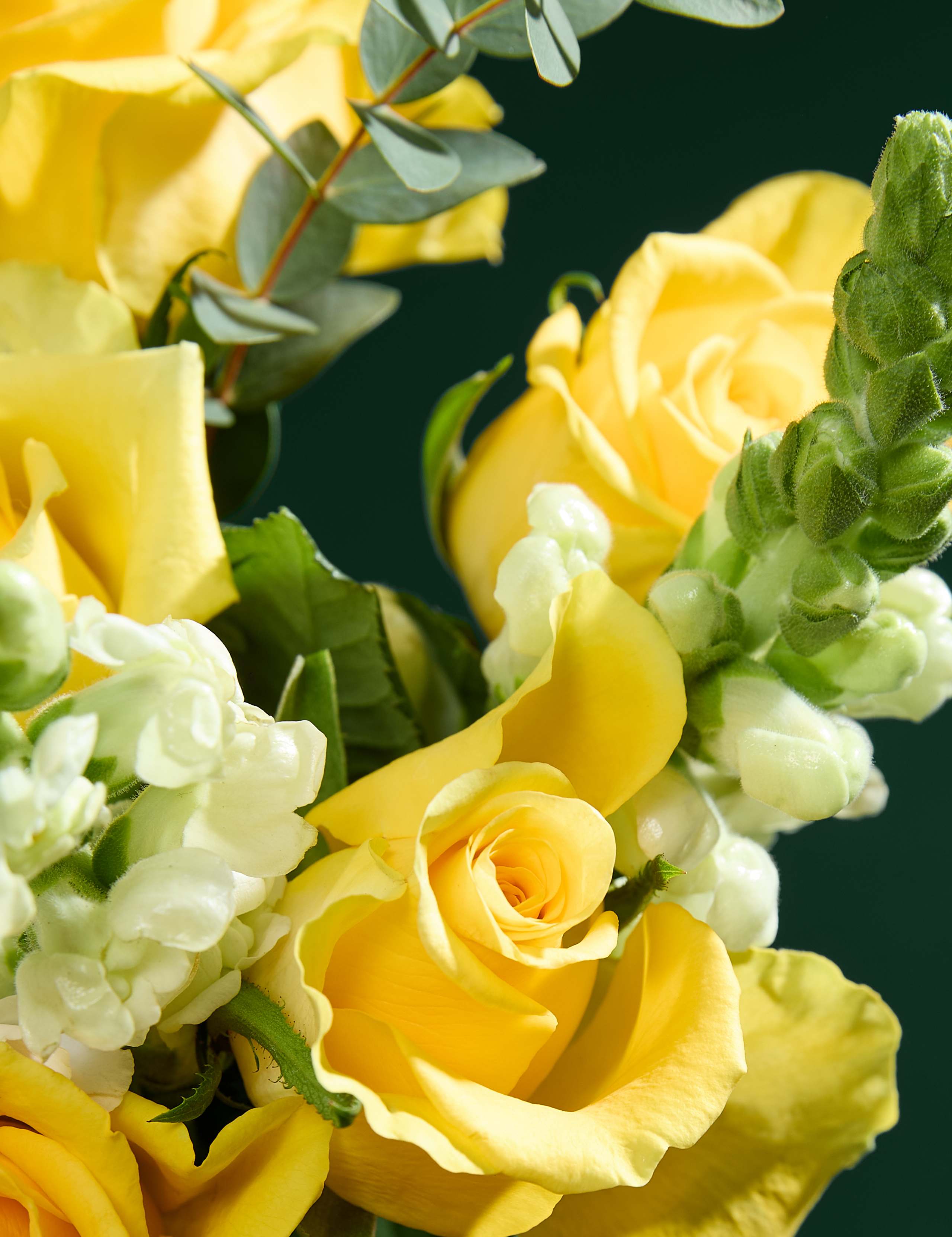 Something Special Bouquet with Vase 3 of 8