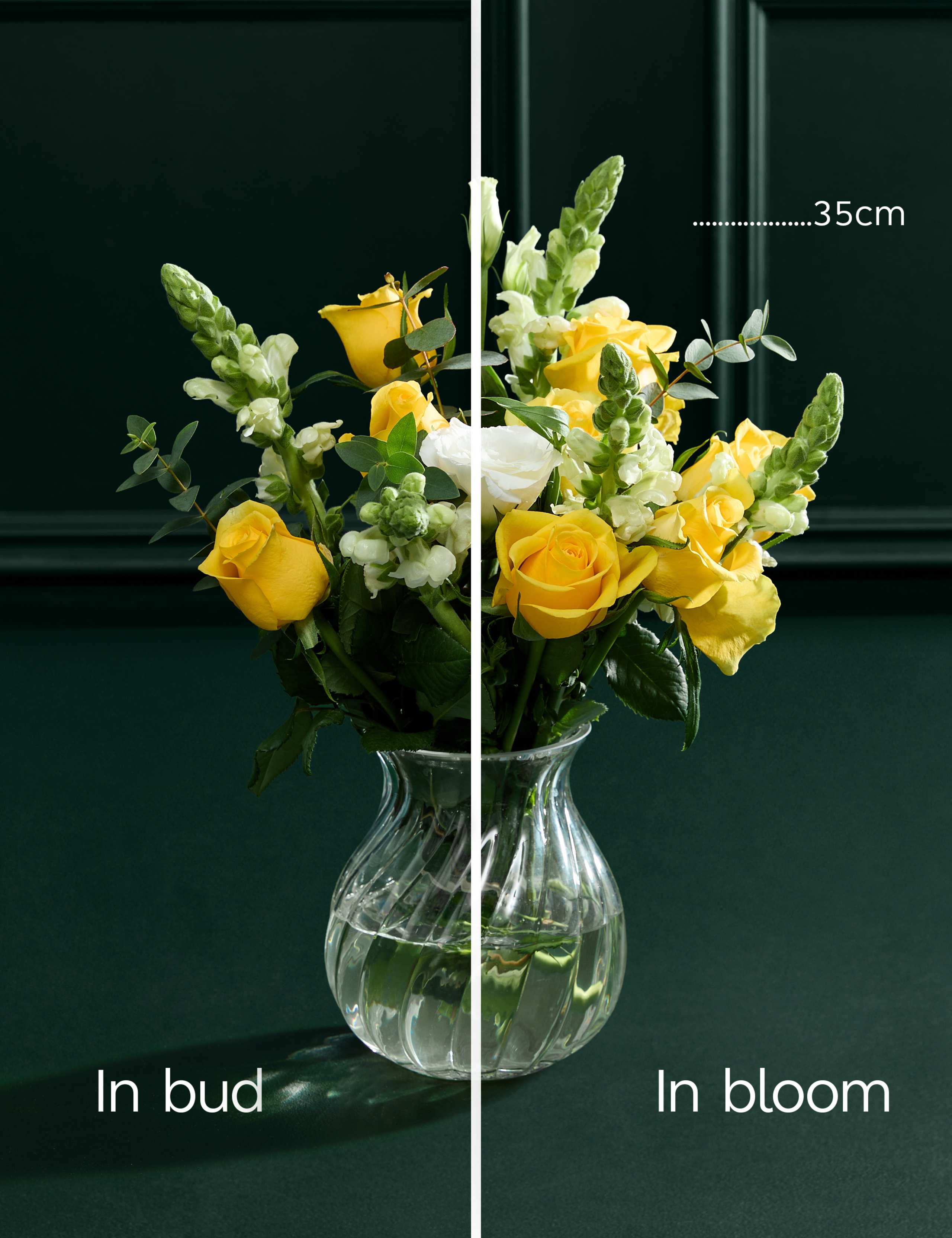 Something Special Bouquet with Vase 6 of 8