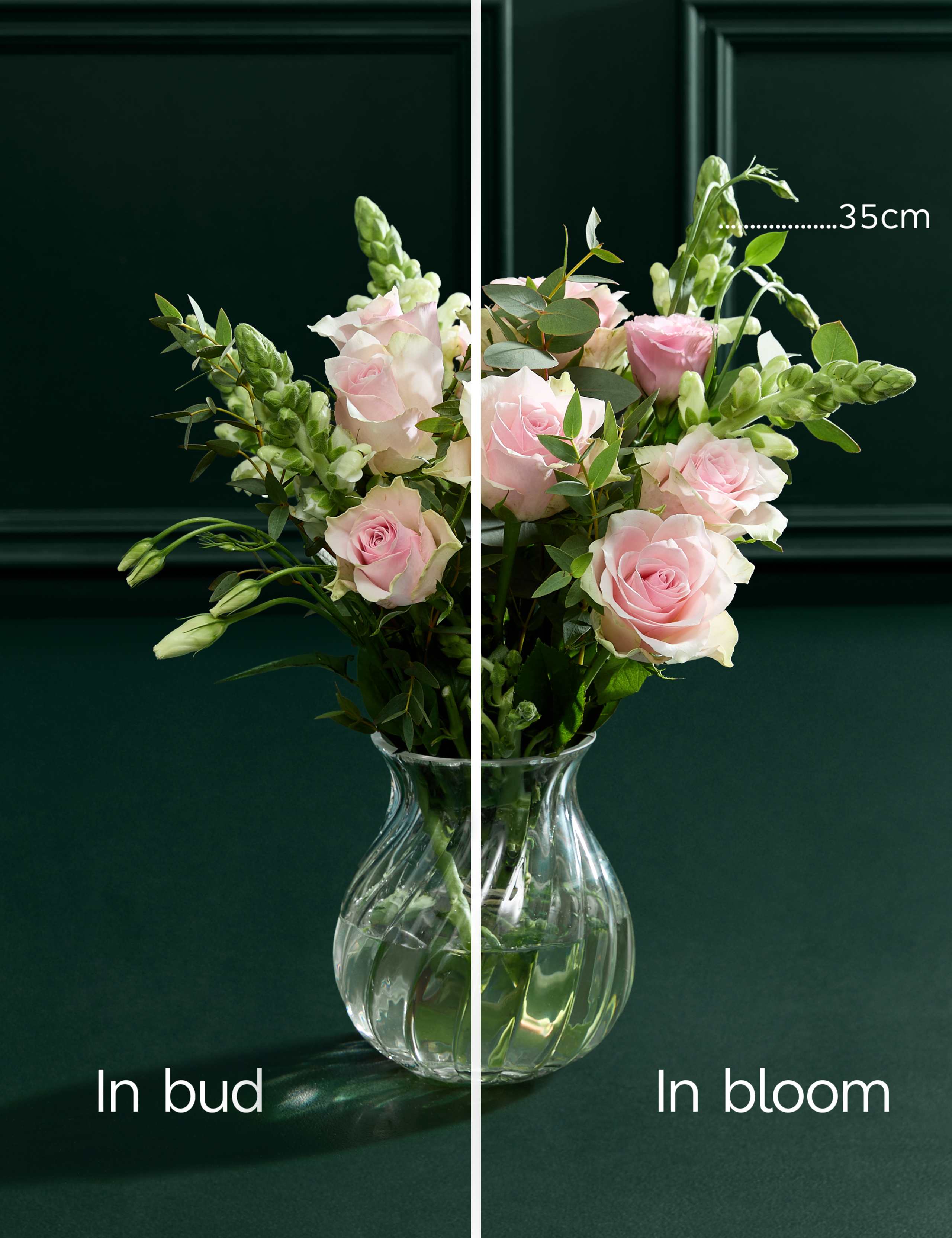 Sending Love Bouquet & Vase 6 of 8