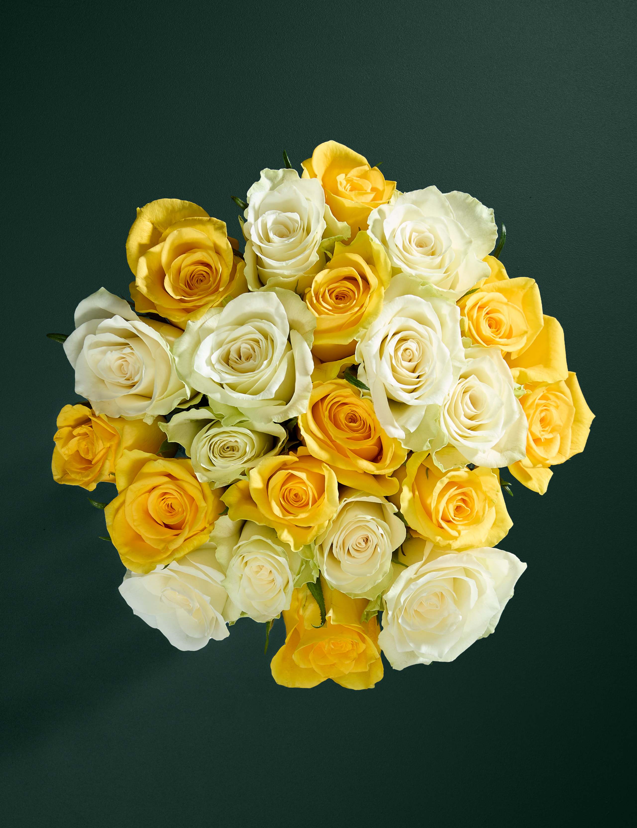Small Yellow Rose Abundance Bouquet 3 of 7