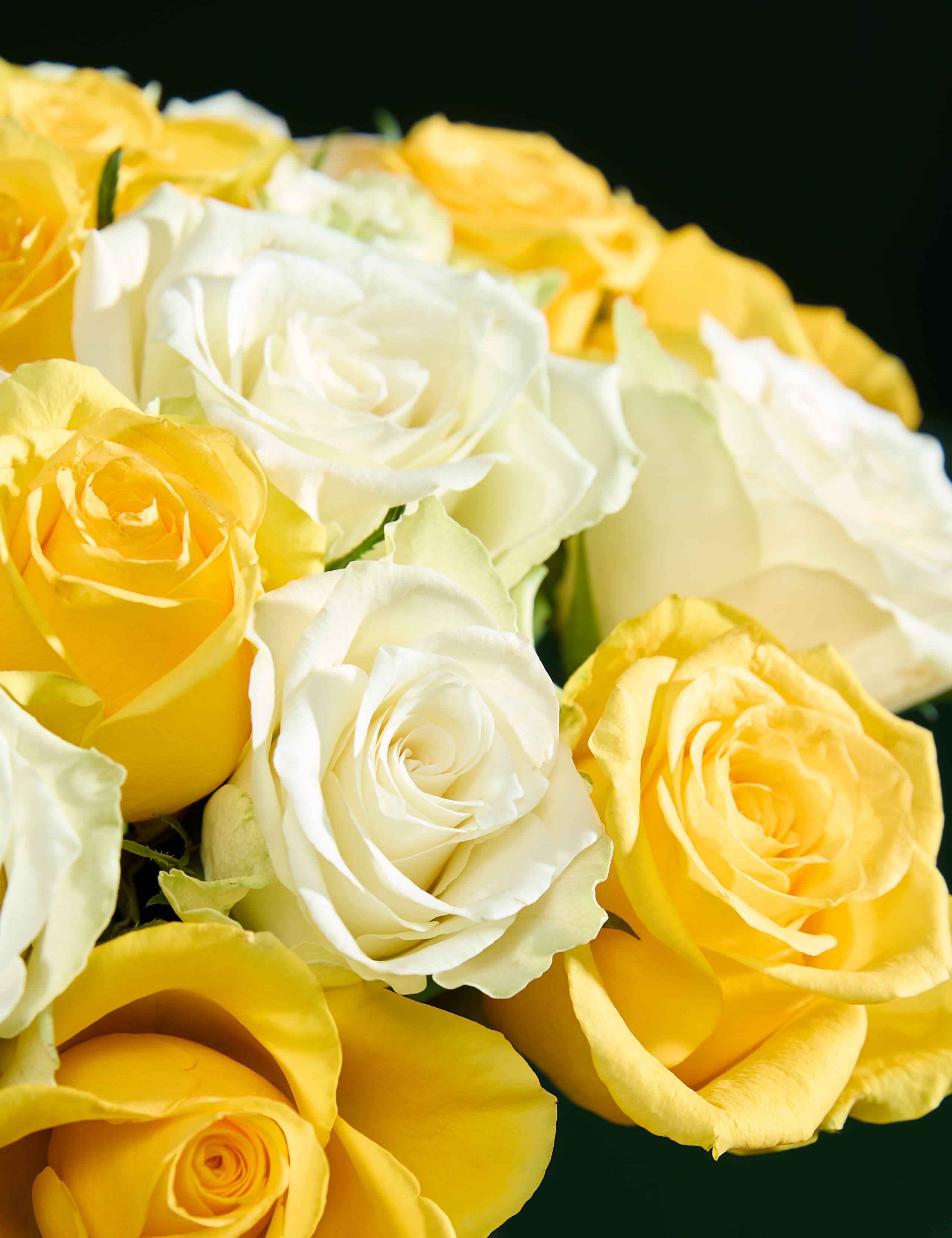 Small Yellow Rose Abundance Bouquet 4 of 7