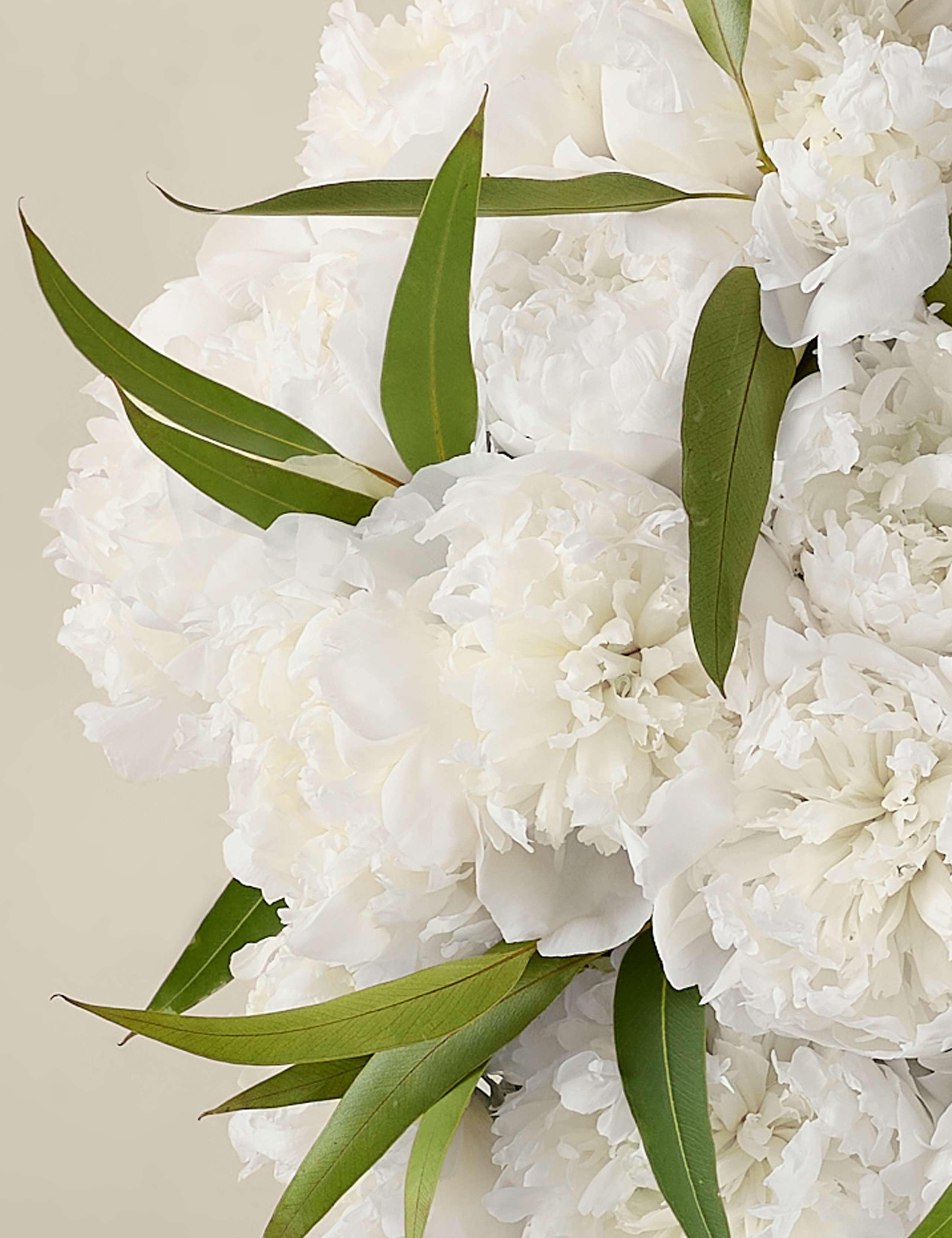 Bountiful Peony Bouquet 4 of 8