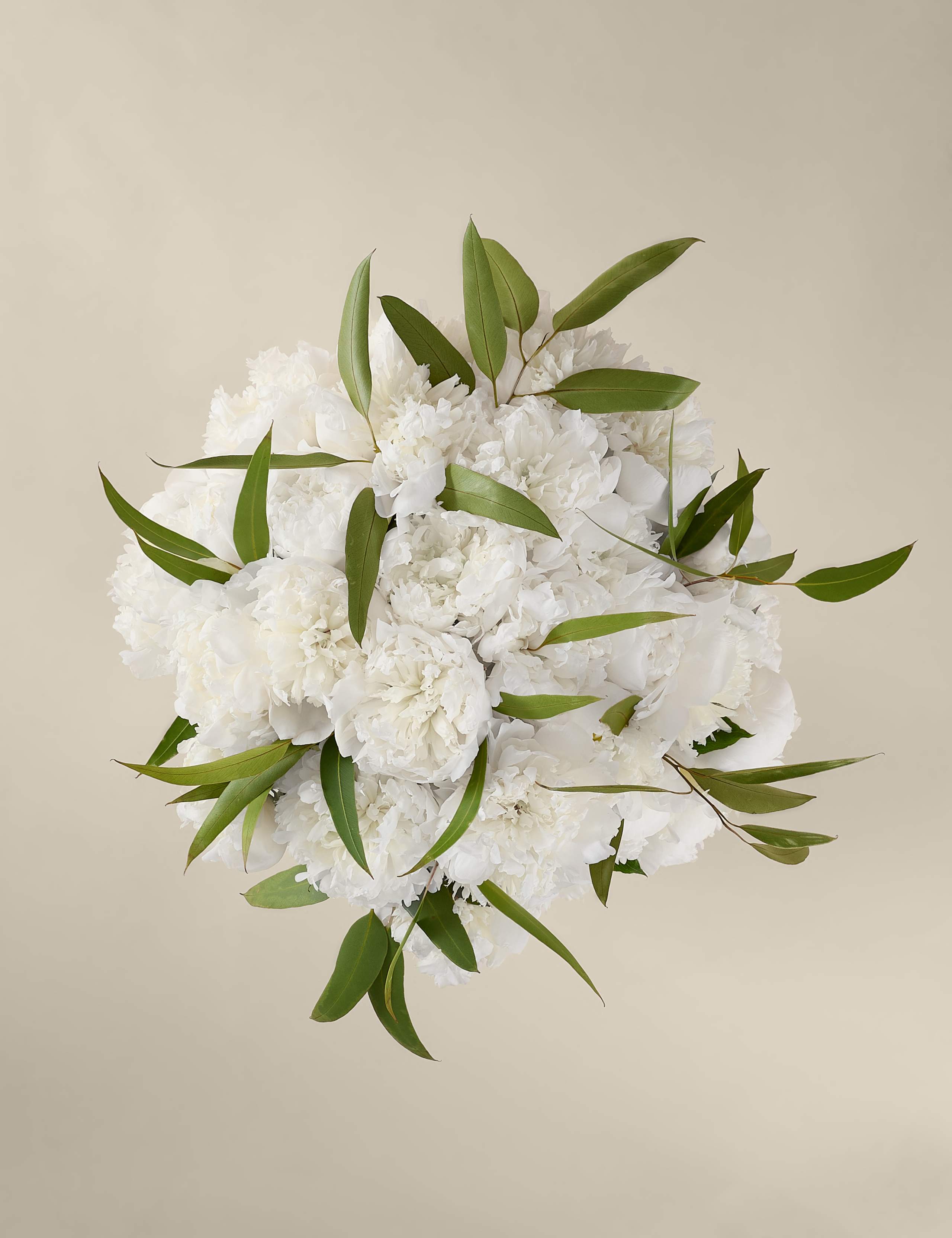 Bountiful Peony Bouquet 2 of 8