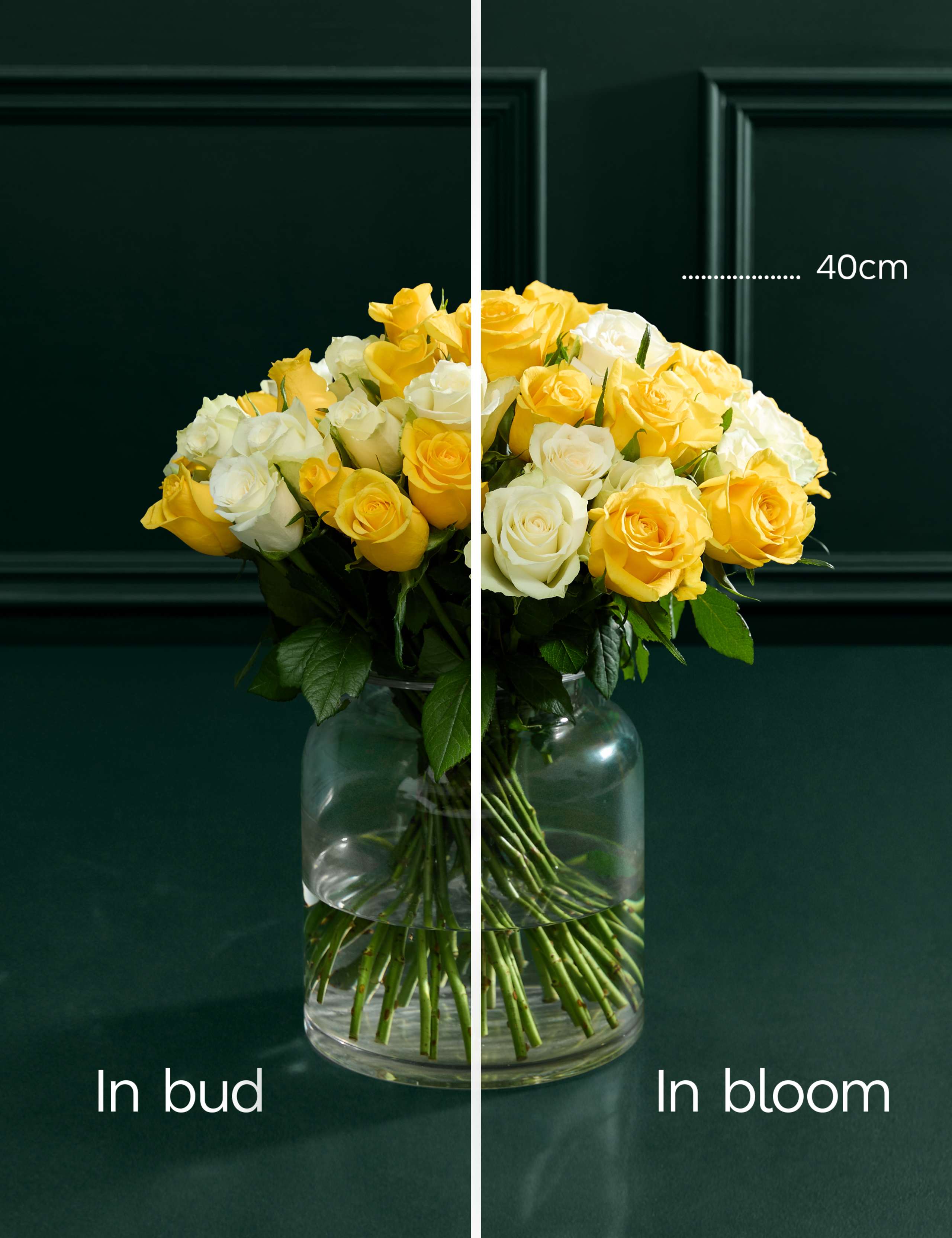 Large Yellow Rose Abundance Bouquet 6 of 9