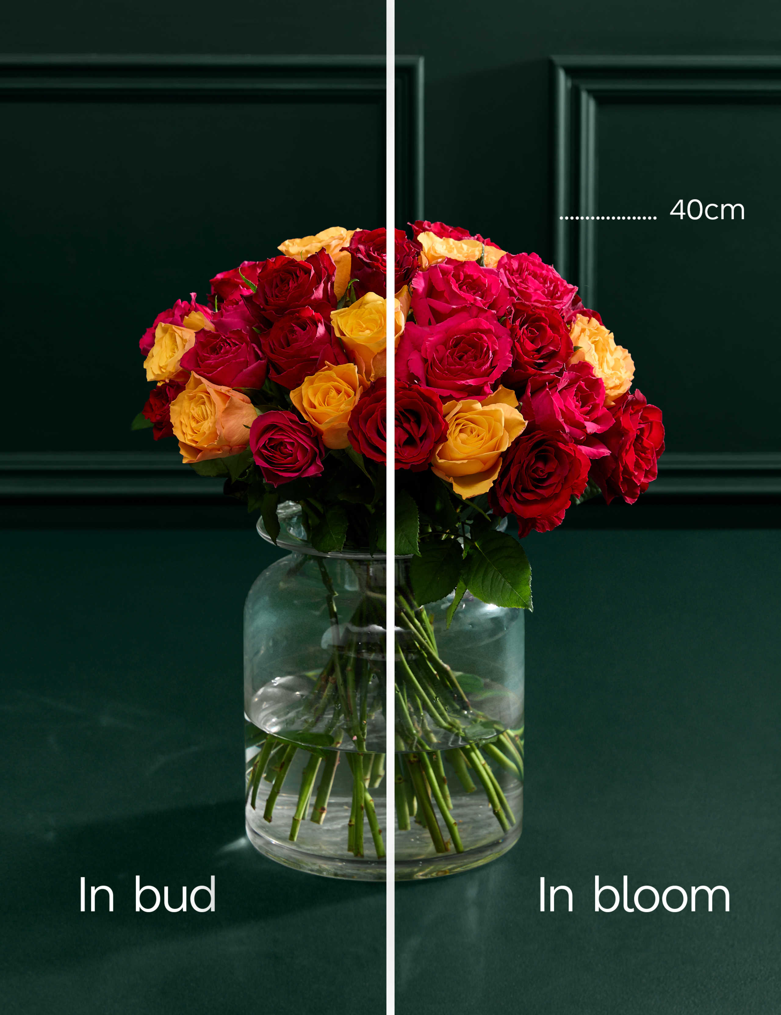 Large Radiant Rose Abundance Bouquet 7 of 10
